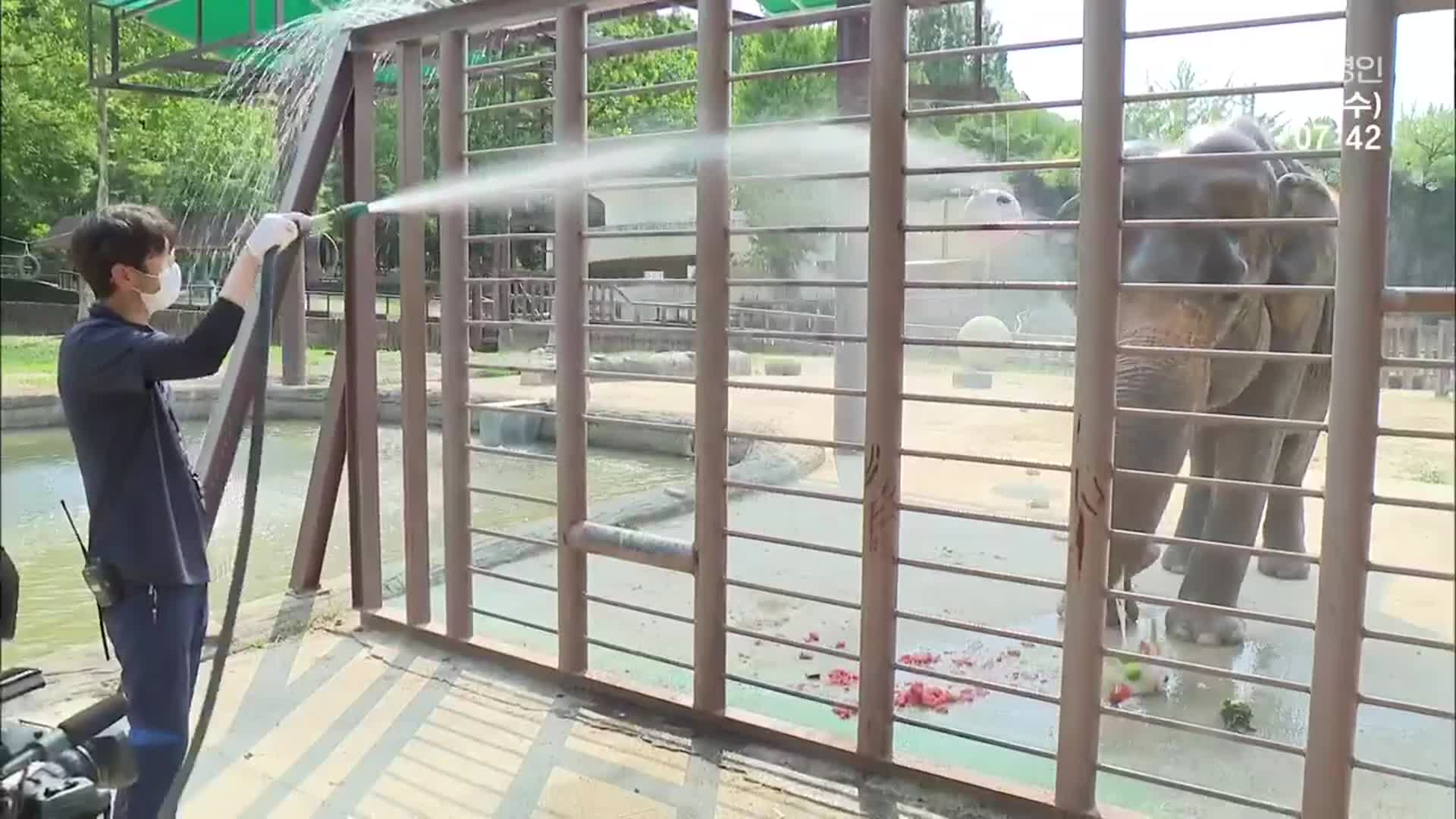 “덥다, 더워!”…폭염 속 동물원의 특별한 ‘여름나기’