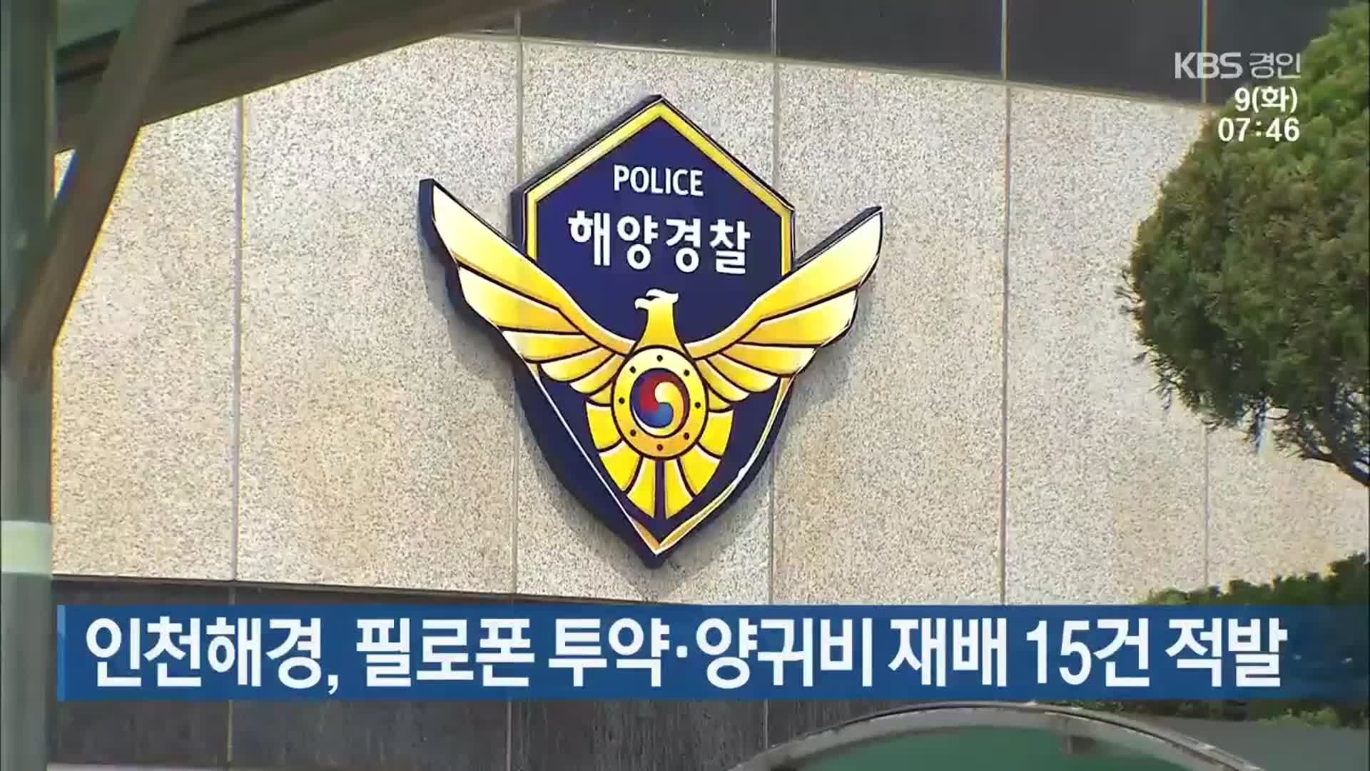 인천해경, 필로폰 투약·양귀비 재배 15건 적발