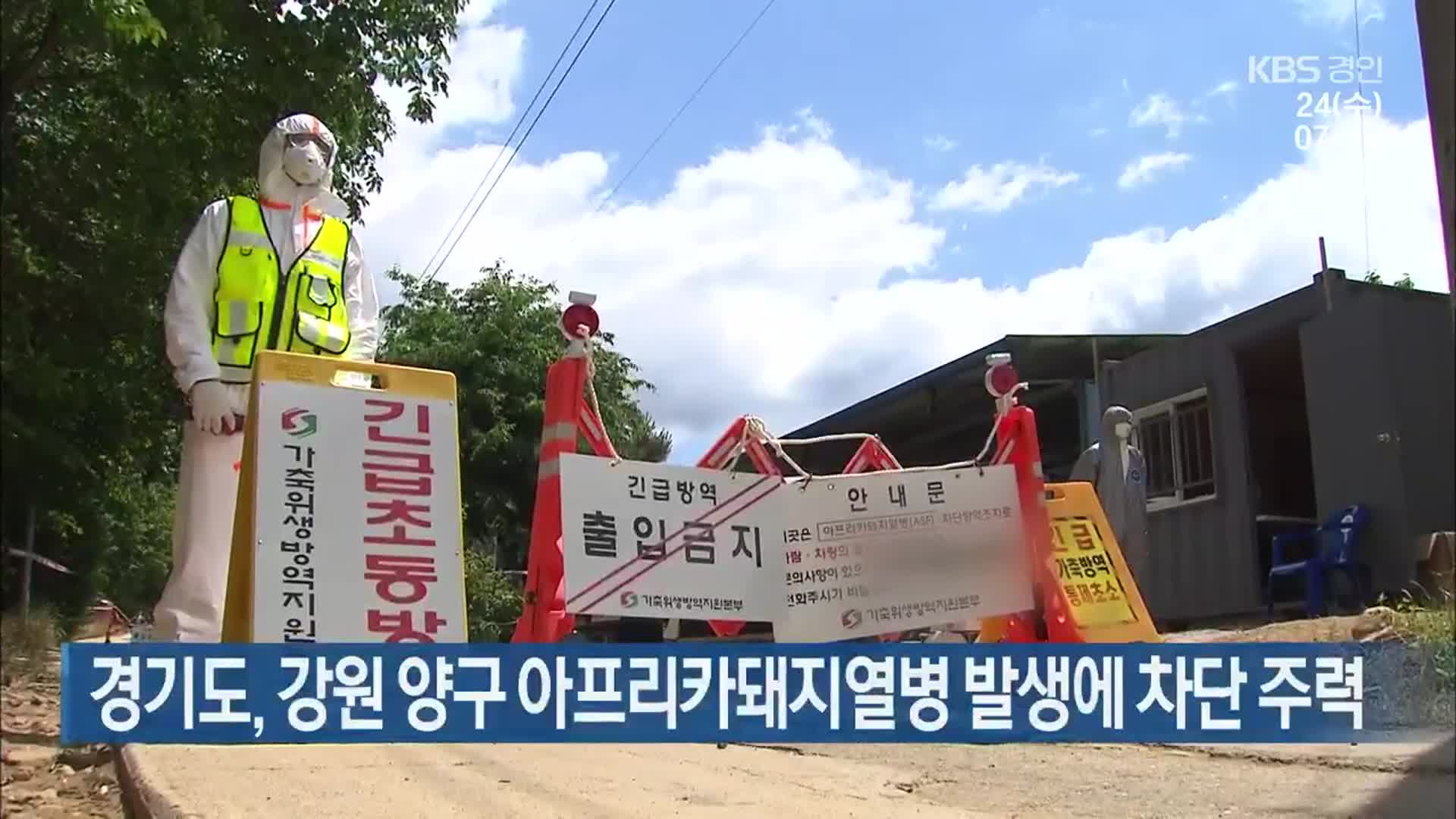 경기도, 강원 양구 아프리카돼지열병 발생에 차단 주력