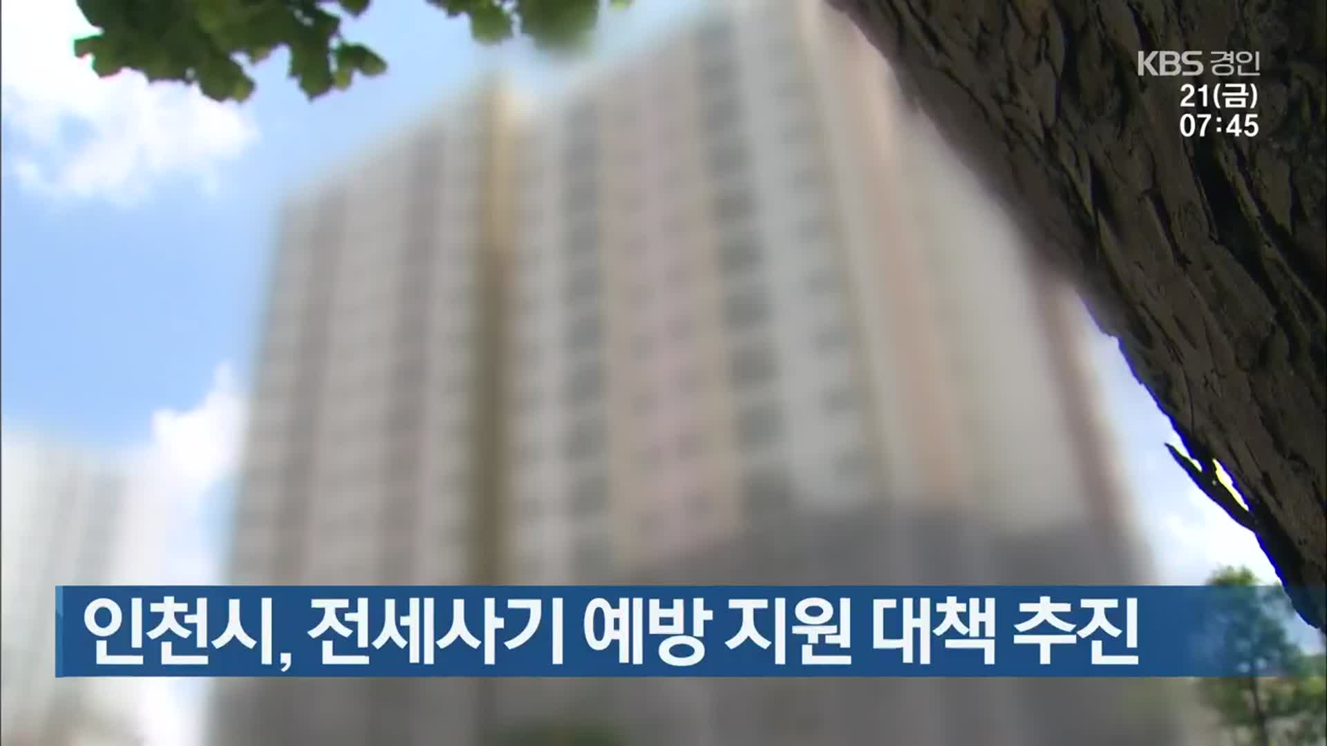 인천시, 전세사기 예방 지원 대책 추진