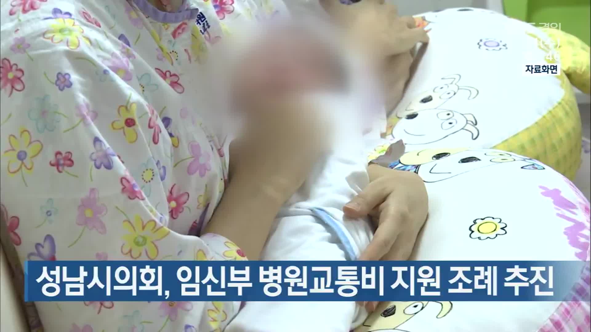 성남시의회, 임신부 병원교통비 지원 조례 추진