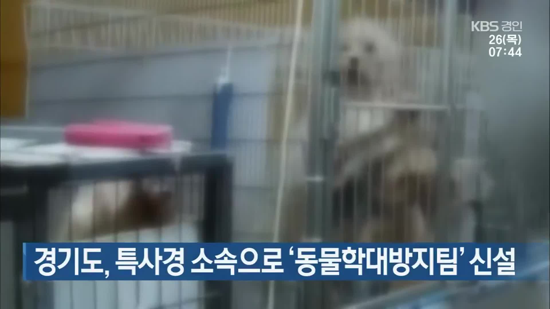 경기도, 특사경 소속으로 ‘동물학대방지팀’ 신설