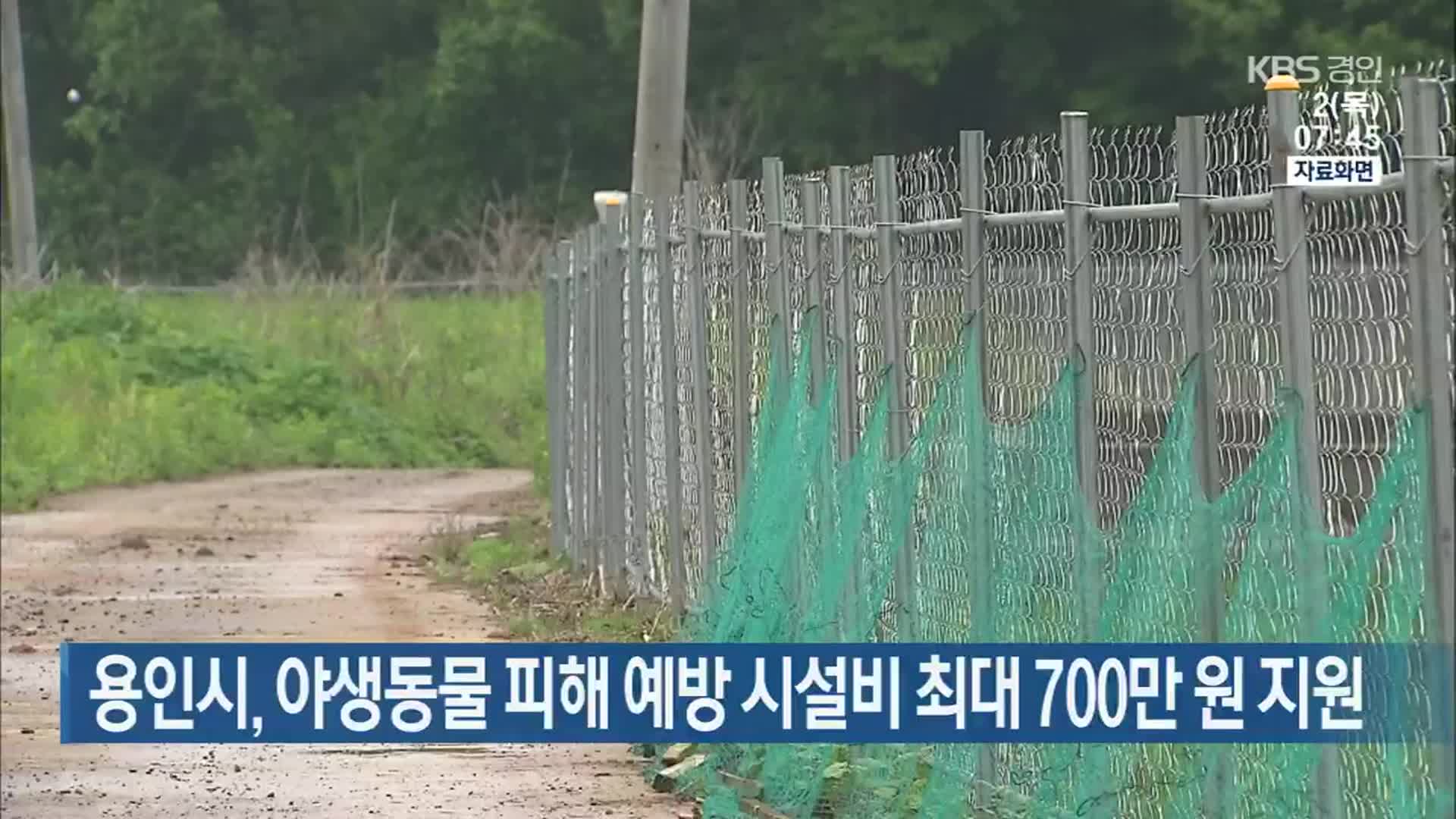 용인시, 야생동물 피해 예방 시설비 최대 700만 원 지원