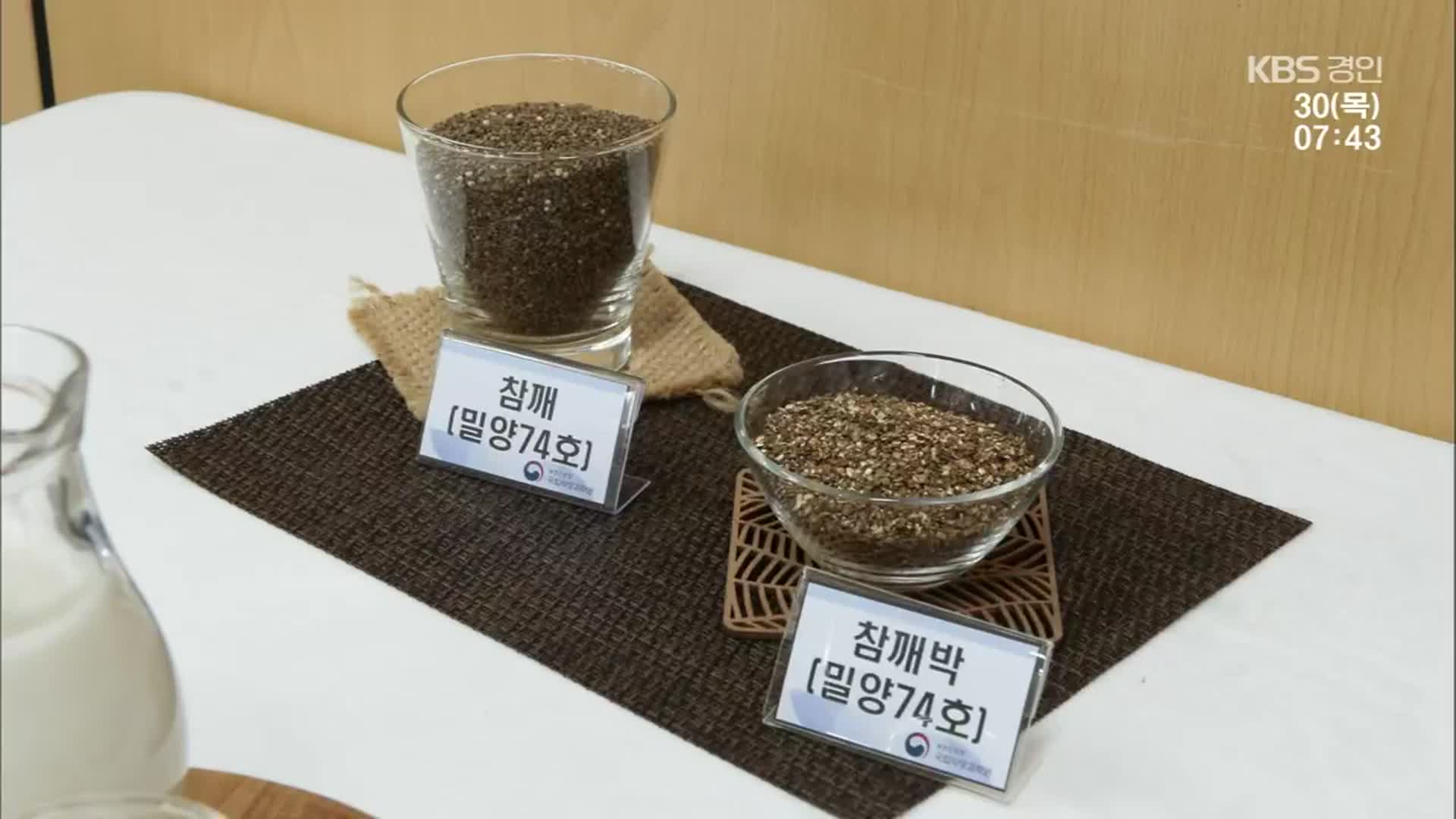 기름짜면 남는 참깨 껍질 ‘유박’, 식품으로 재탄생