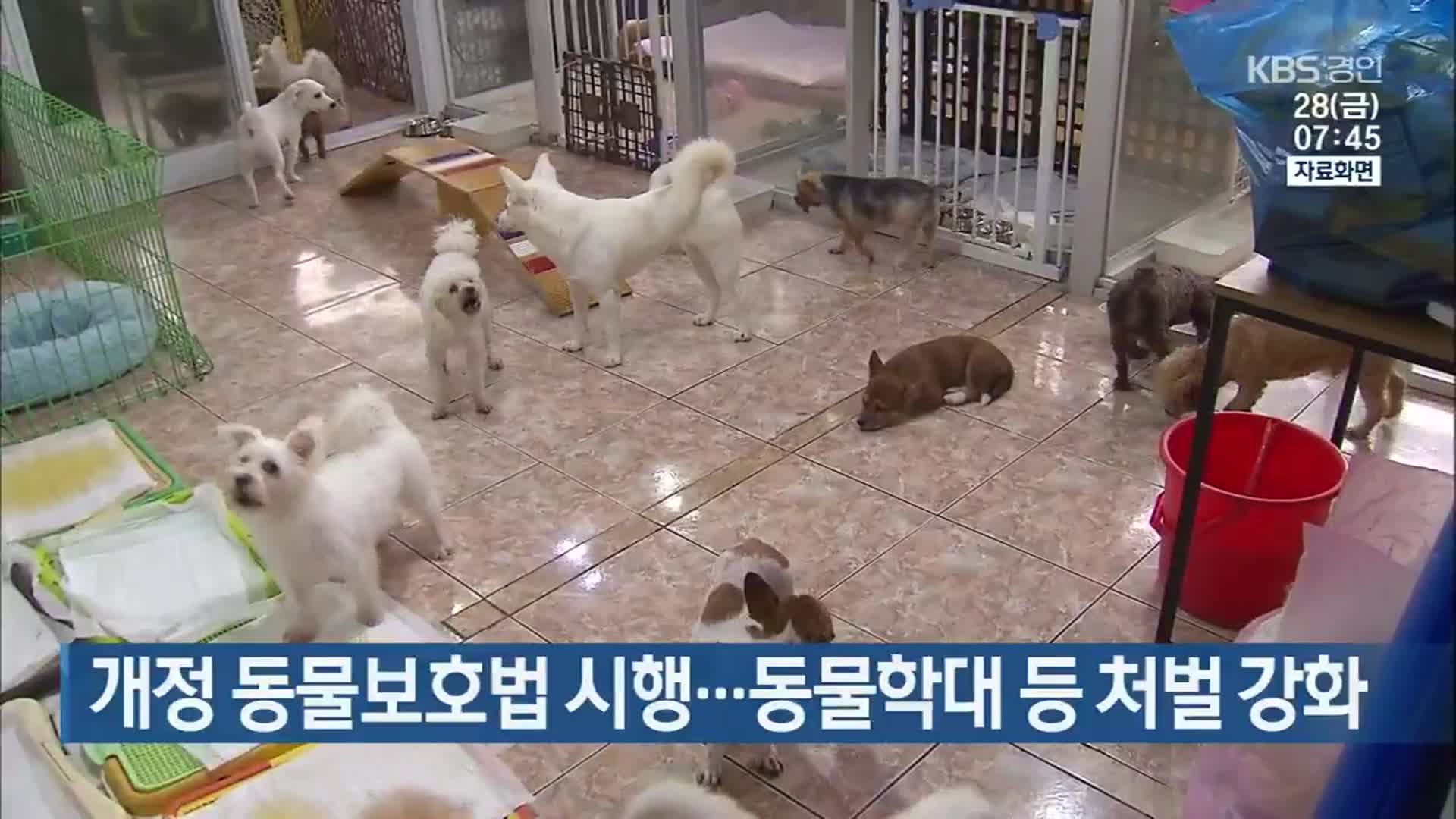 개정 동물보호법 시행…동물학대 등 처벌 강화