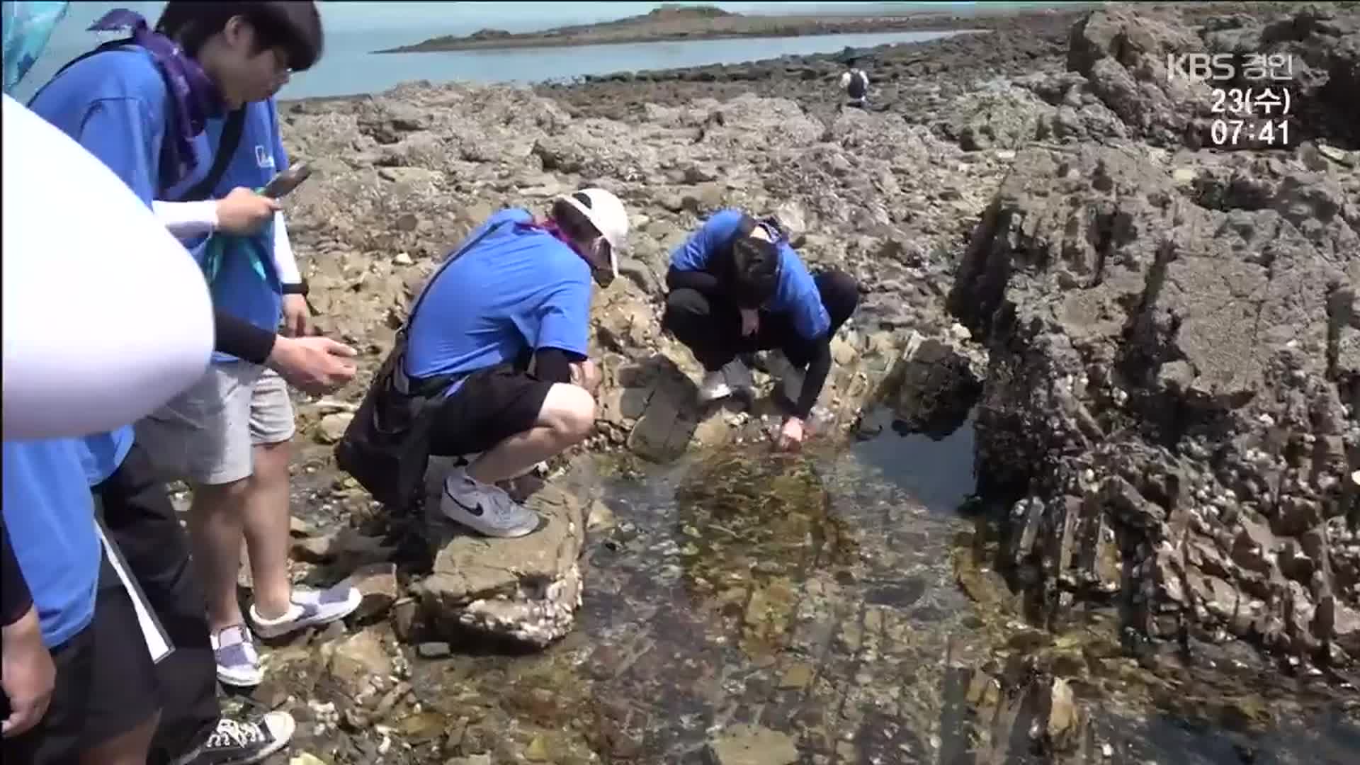 섬·갯벌·생태체험…“신나는 바다학교”