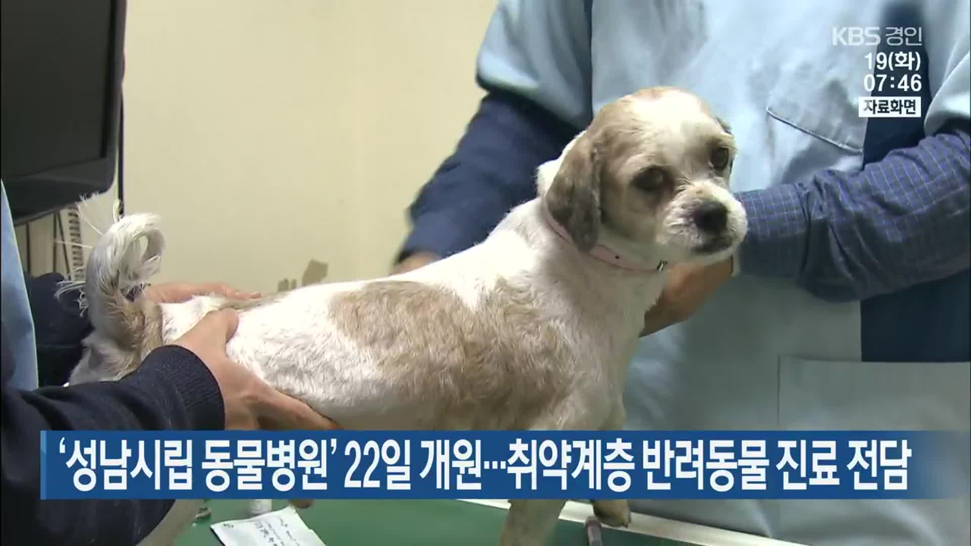 ‘성남시립 동물병원’ 22일 개원…취약계층 반려동물 진료 전담