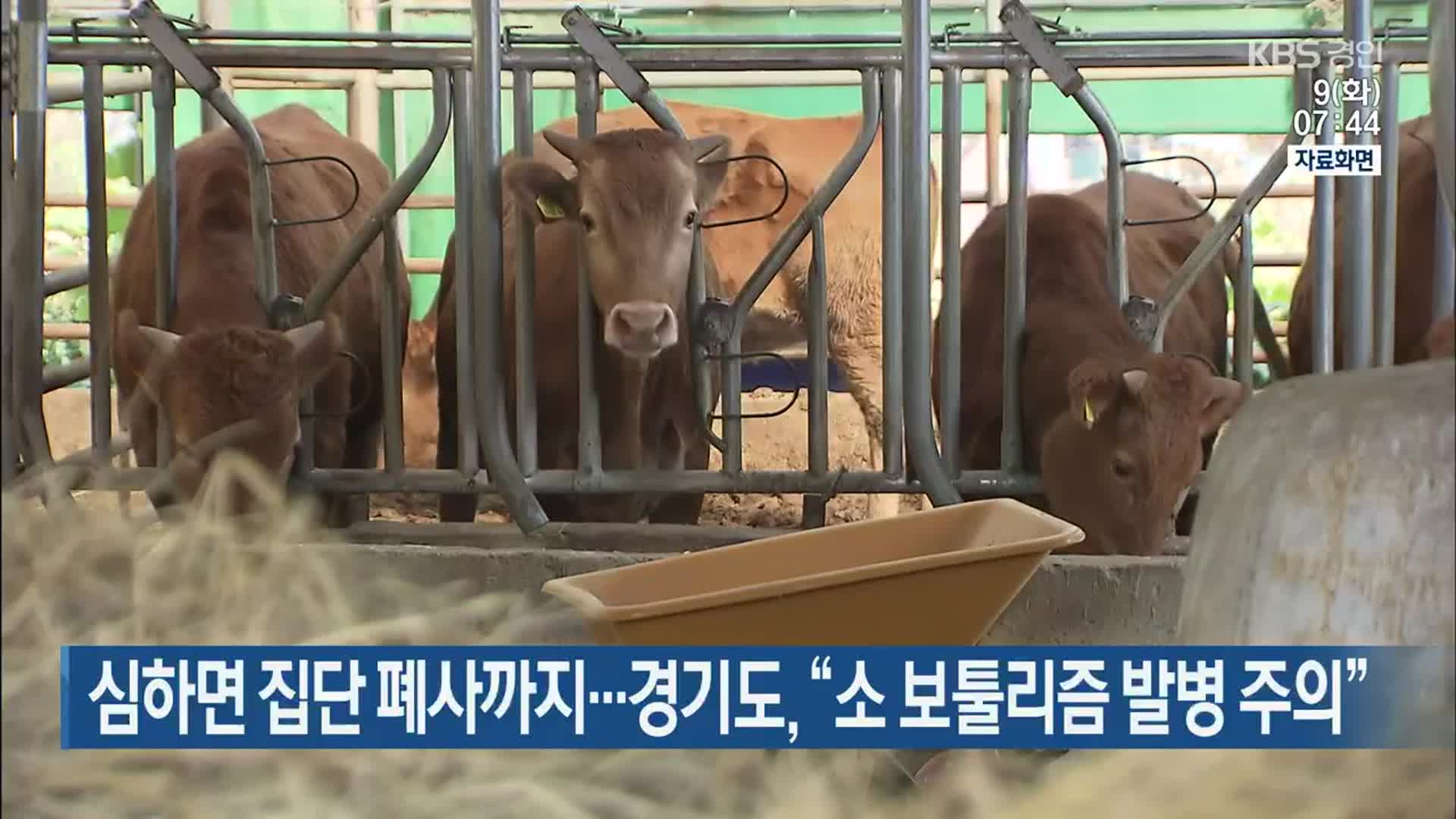 심하면 집단 폐사까지…경기도 “소 보툴리즘 발병 주의”