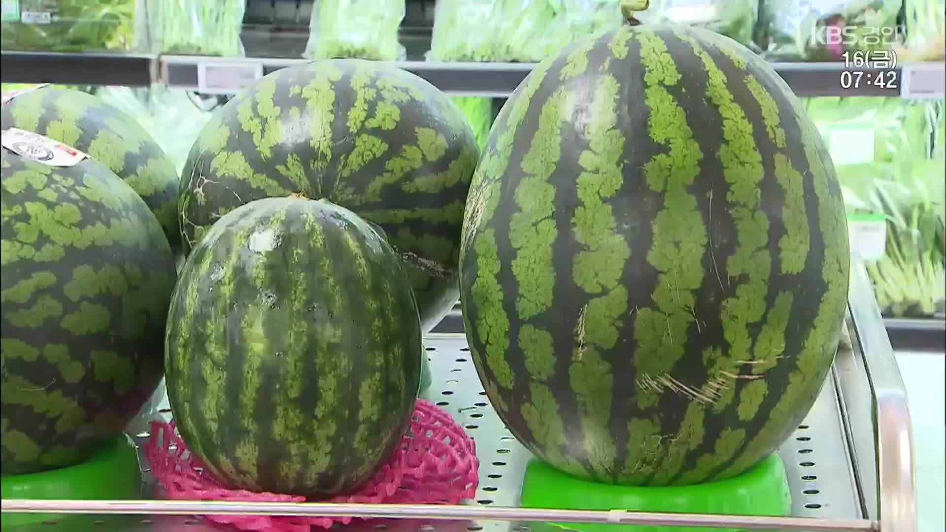먹을 만큼만 사는 ‘미니’ 제품…시장은 ‘빅’