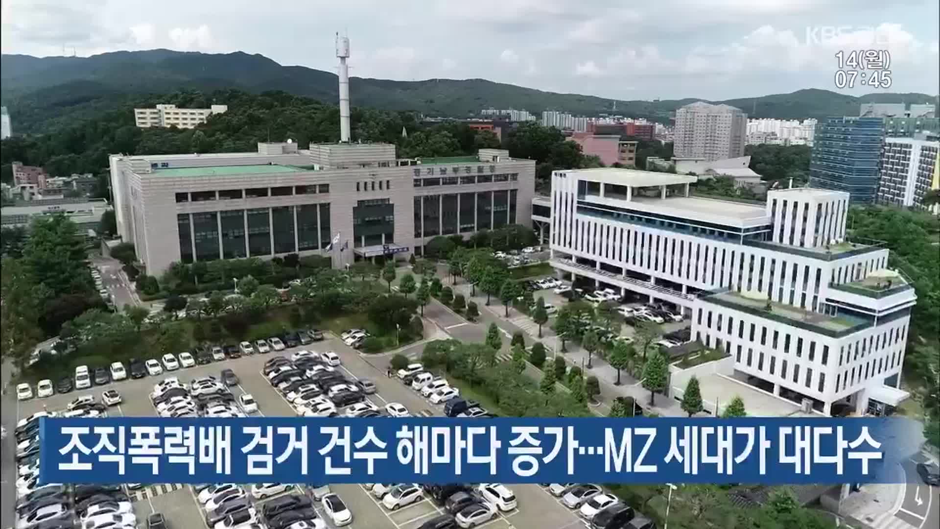 조직폭력배 검거 건수 해마다 증가…MZ 세대가 대다수