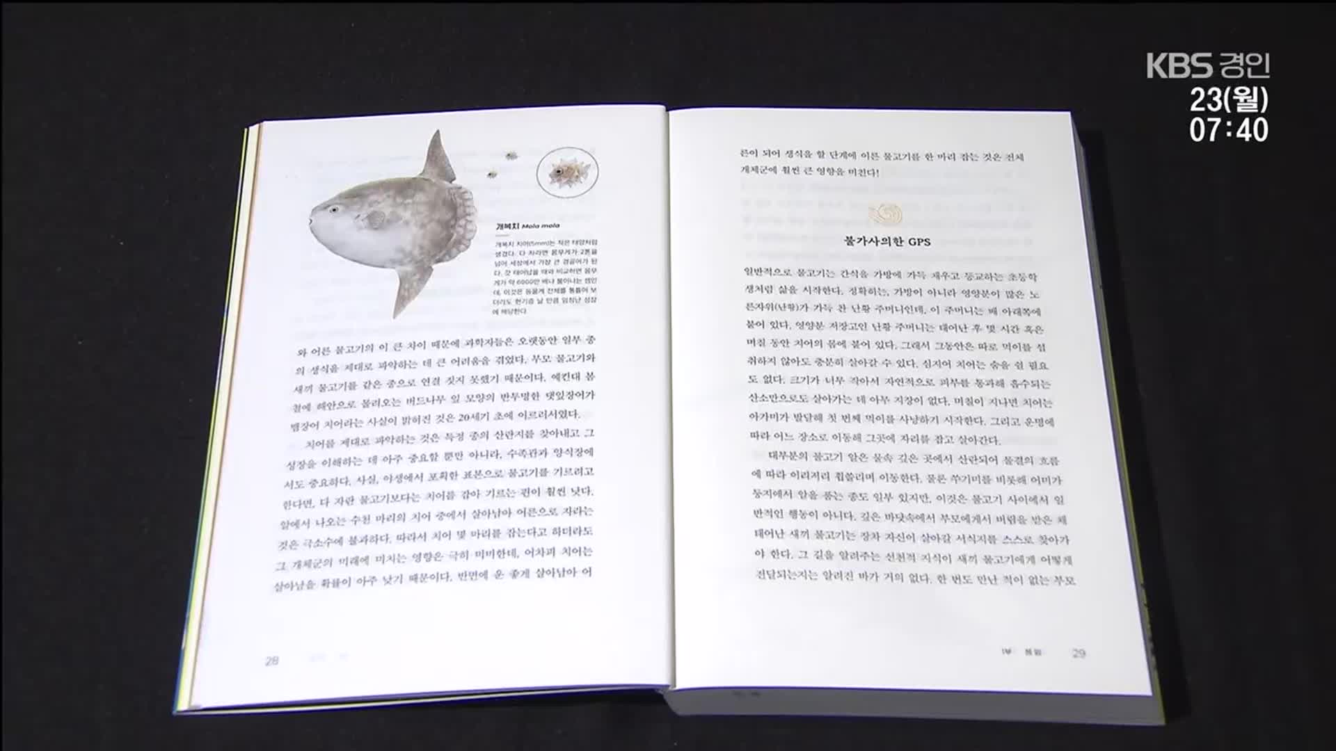 [새로 나온 책] 바다 생물의 놀라운 생존 기술 ‘바다의 천재들’ 외