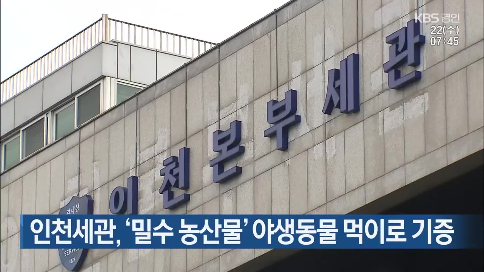 인천세관, ‘밀수 농산물’ 야생동물 먹이로 기증