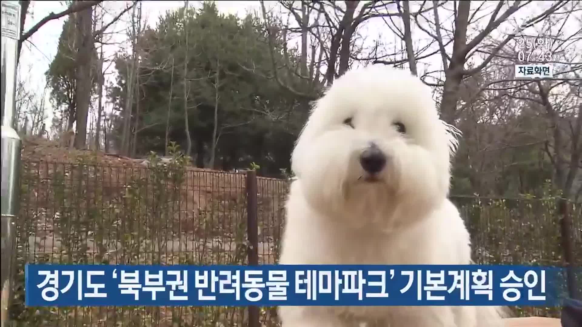 경기도 ‘북부권 반려동물 테마파크’ 기본계획 승인