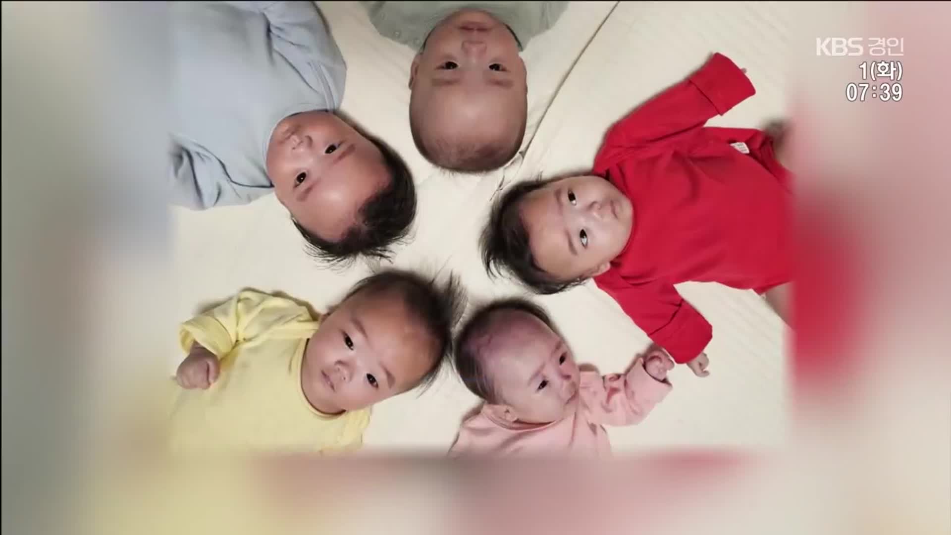 6개월 만에 완전체 된 동두천 오둥이를 만나다