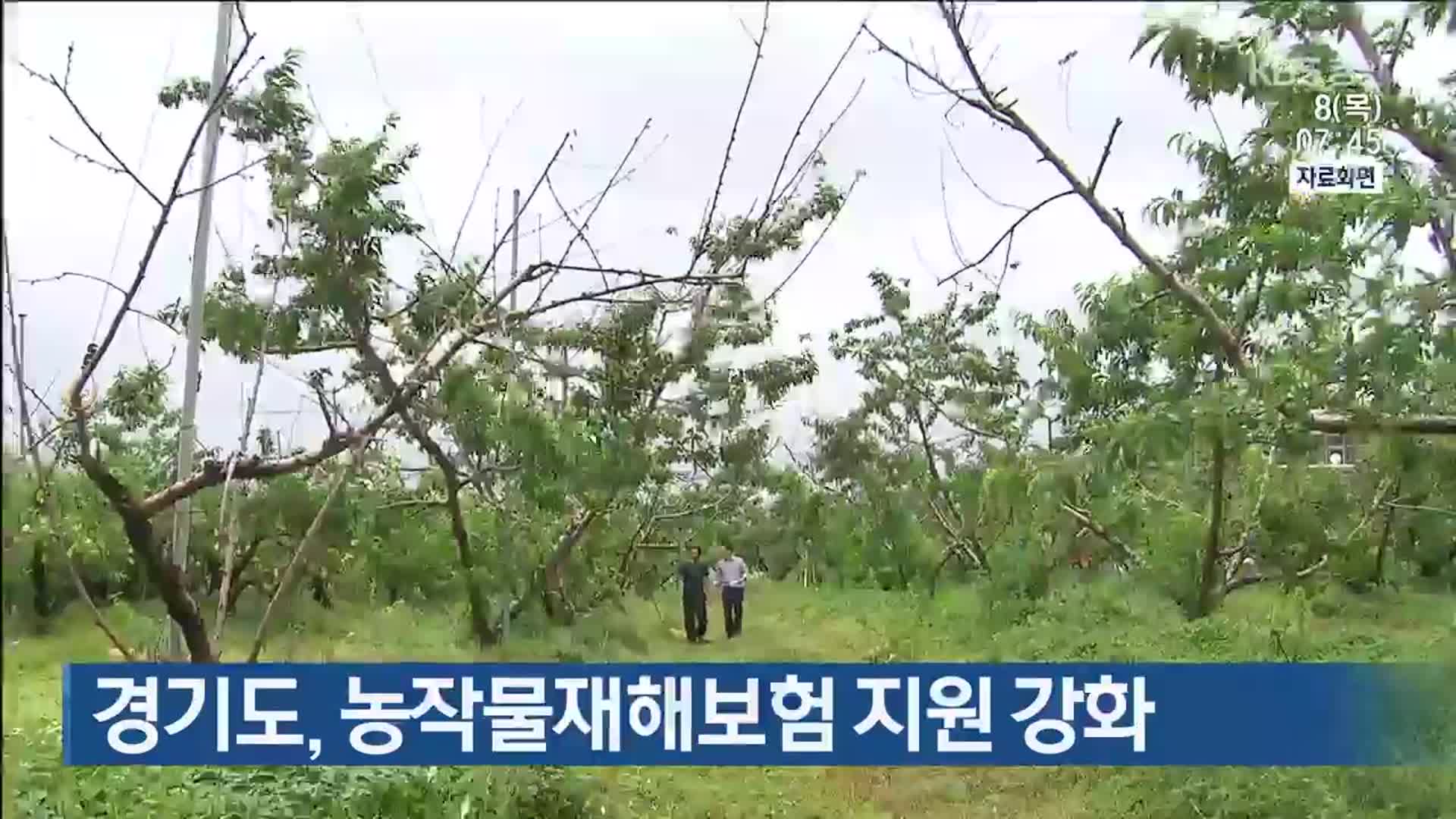 경기도, 농작물재해보험 지원 강화