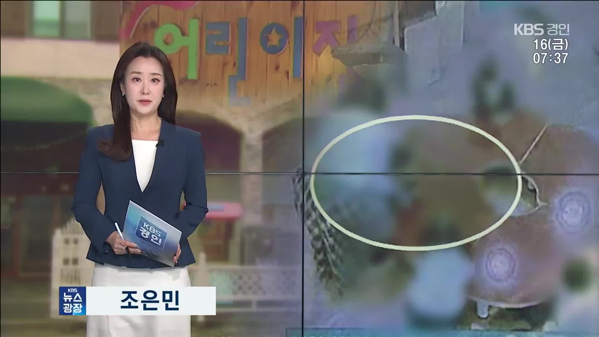 오프닝
