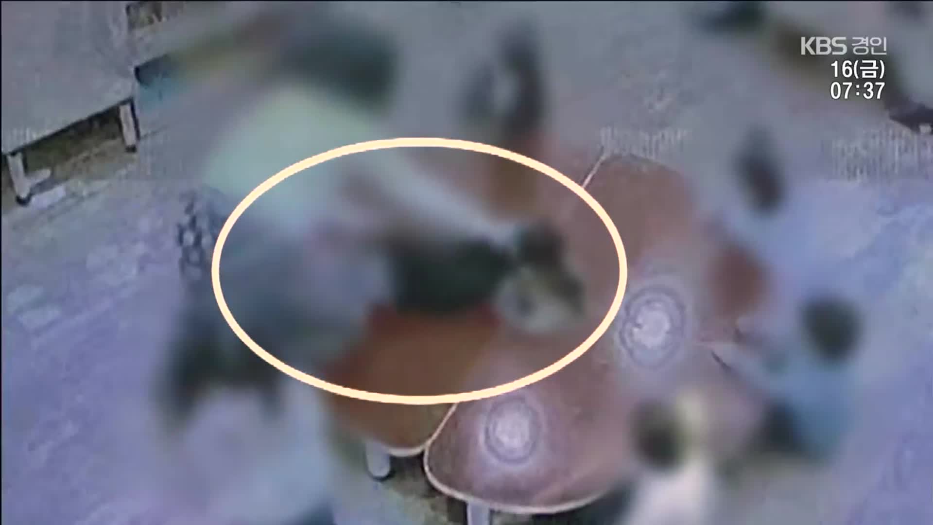 ‘원생 13명 상습 학대’ 교사들 송치…어린이집은 여전히 운영