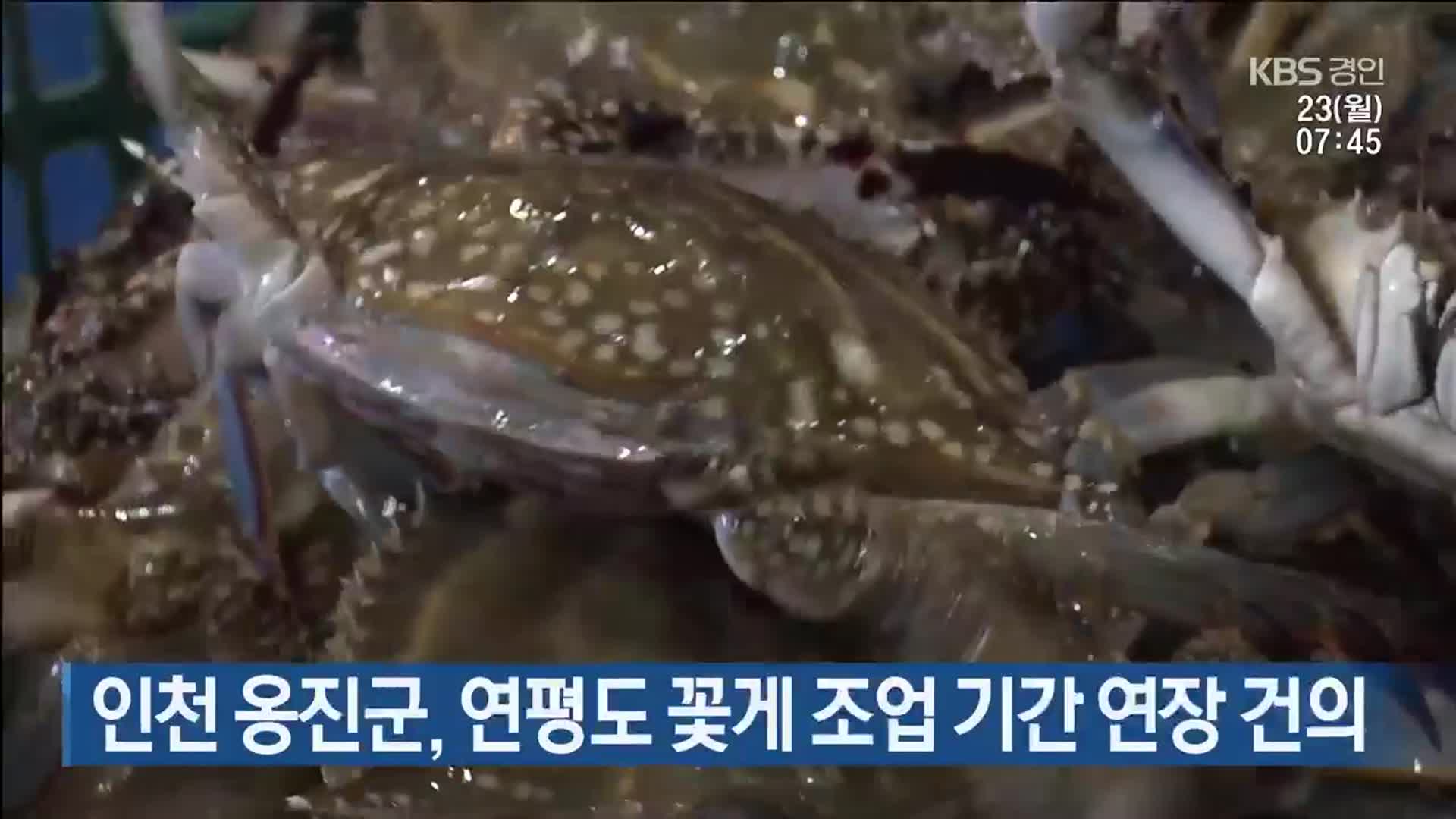 인천 옹진군, 연평도 꽃게 조업 기간 연장 건의