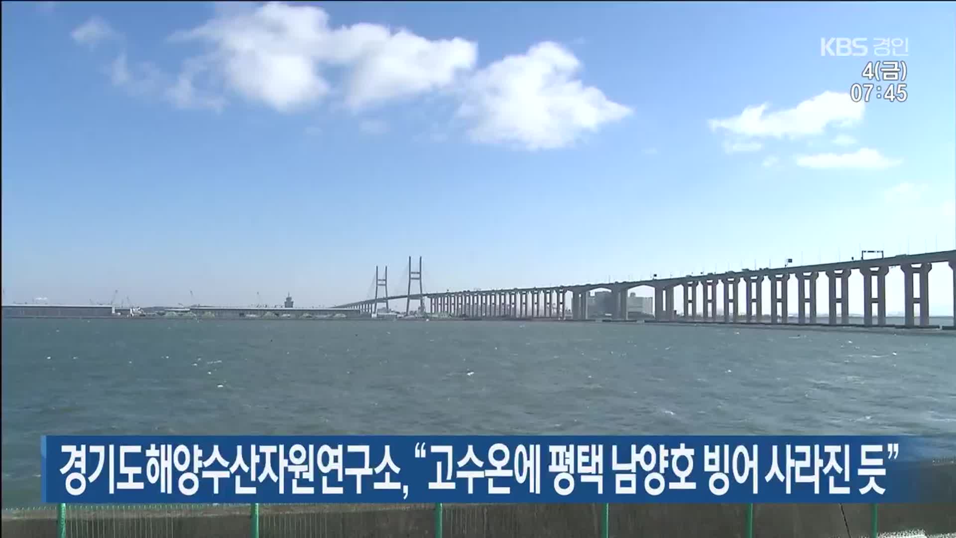 경기도해양수산자원연구소, “고수온에 평택 남양호 빙어 사라진 듯”