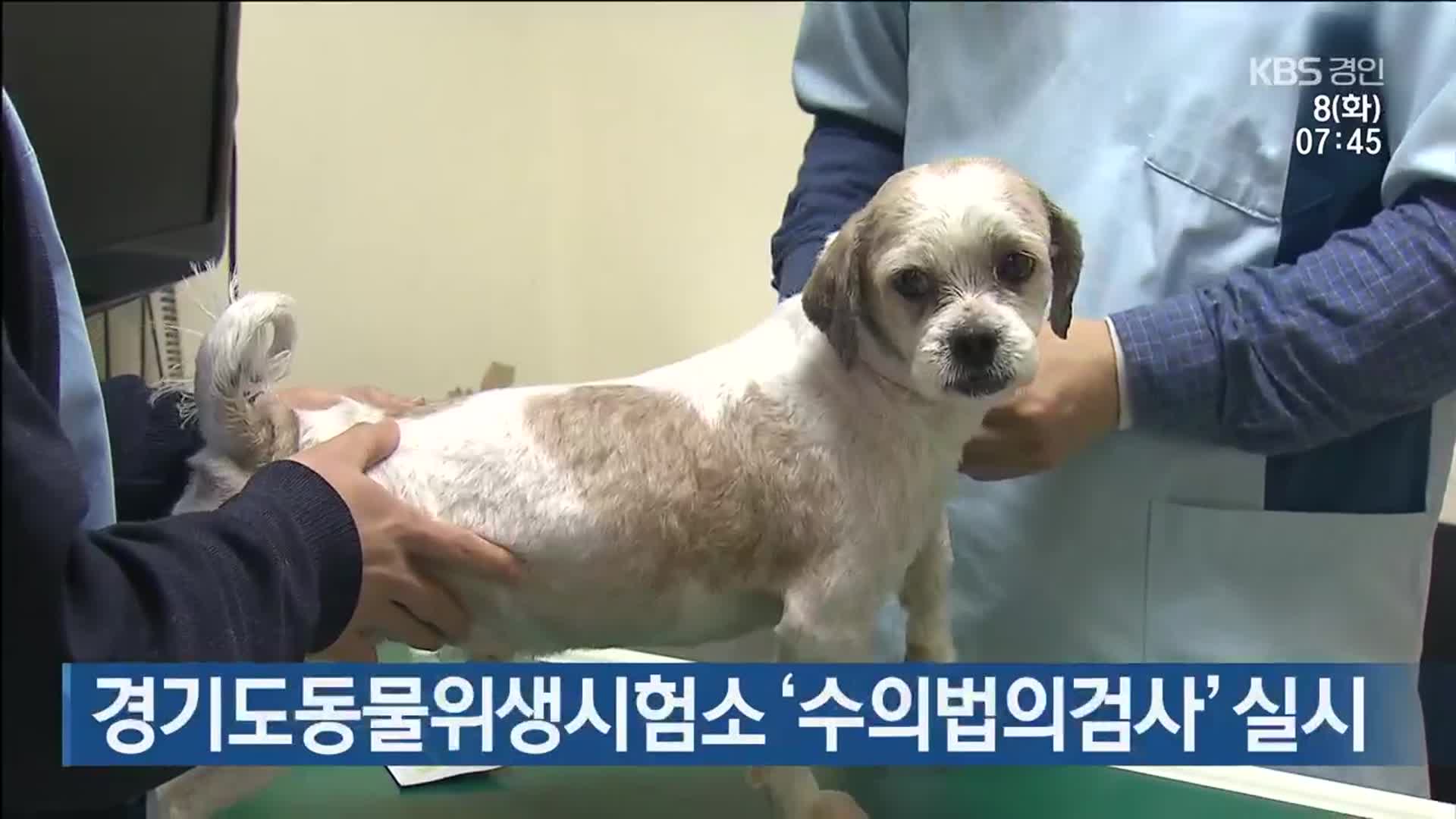 경기도동물위생시험소 ‘수의법의검사’ 실시