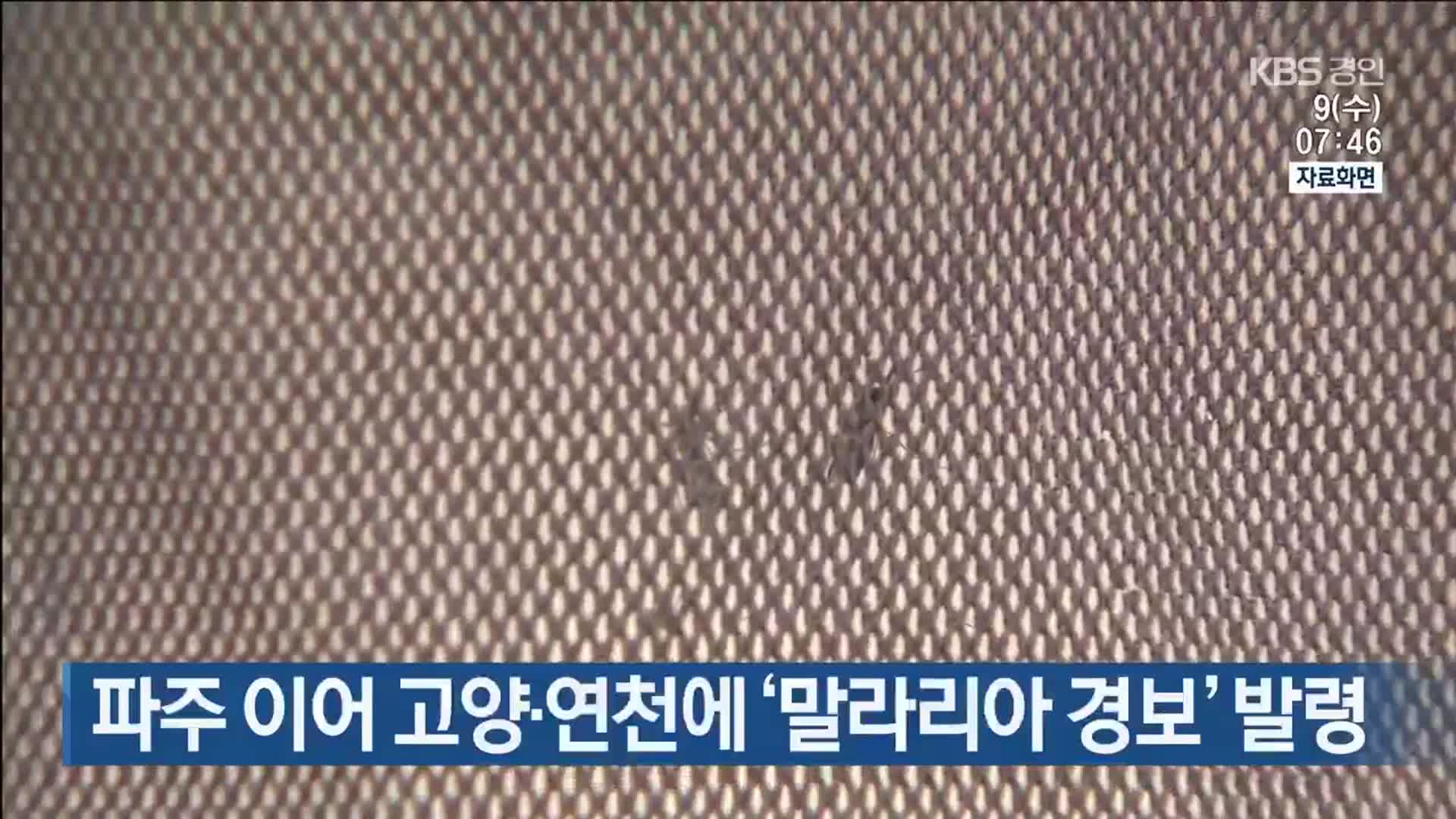 파주 이어 고양·연천에 ‘말라리아 경보’ 발령