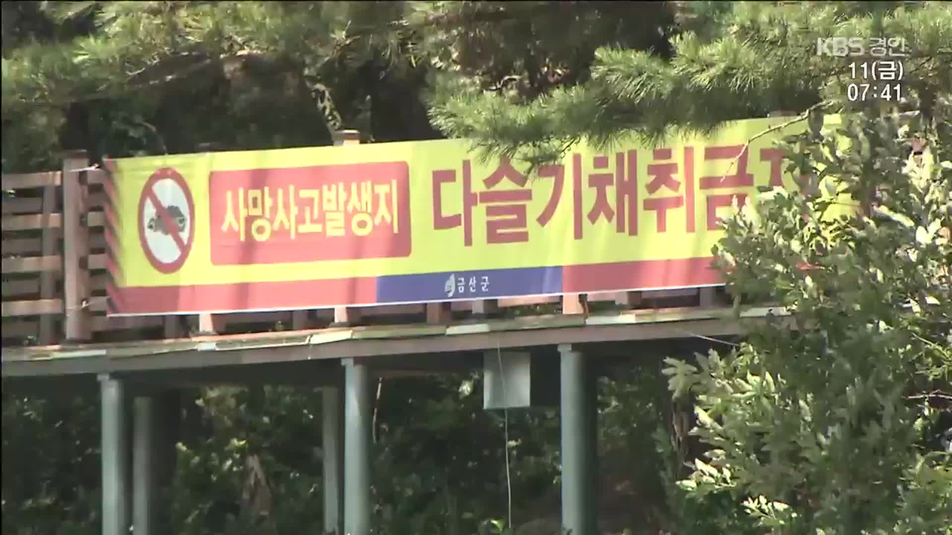 4명 숨졌는데 또 다슬기 잡이 ‘안전불감증’