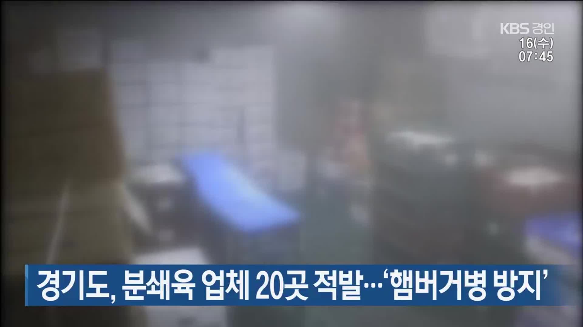 경기도, 분쇄육 업체 20곳 적발…‘햄버거병 방지’