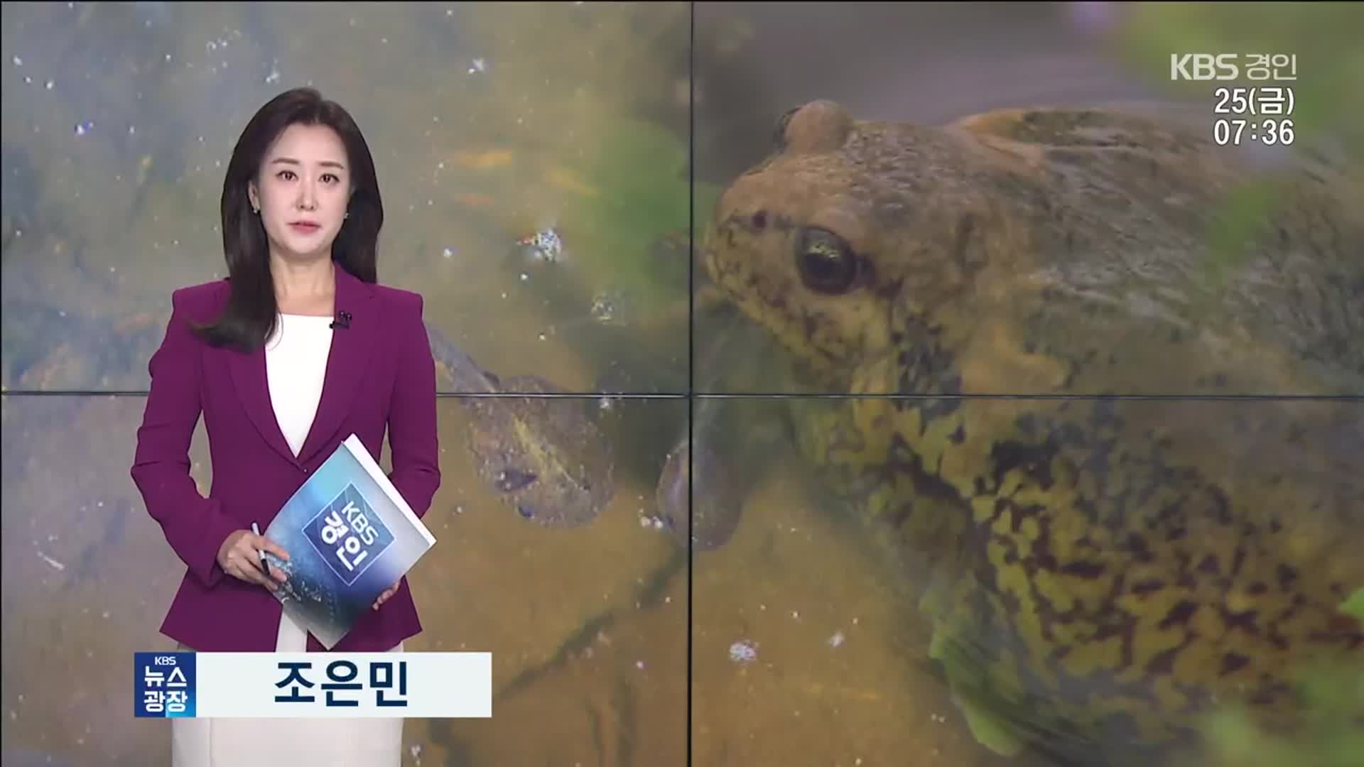 오프닝