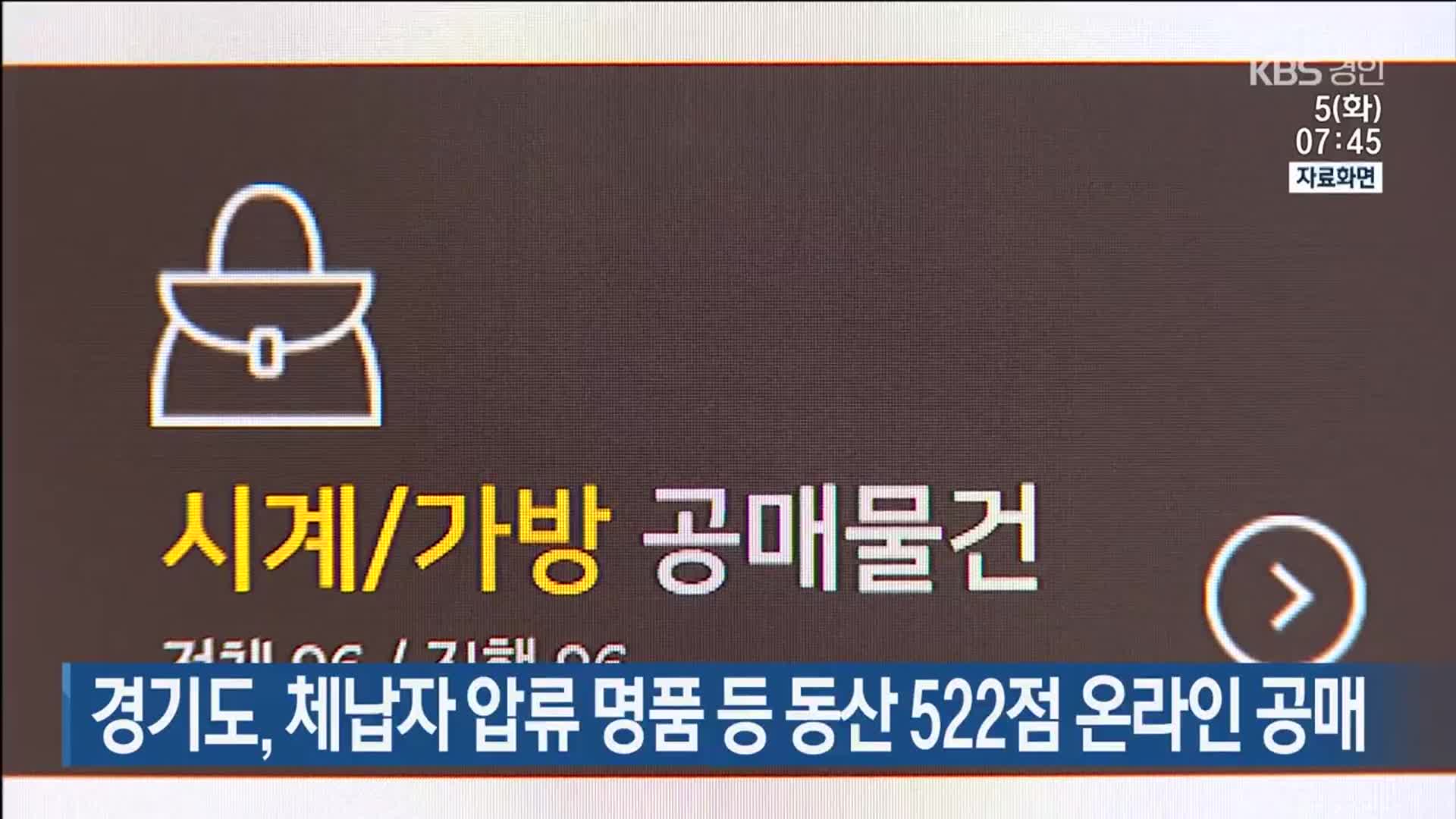 경기도, 체납자 압류 명품 등 동산 522점 온라인 공매