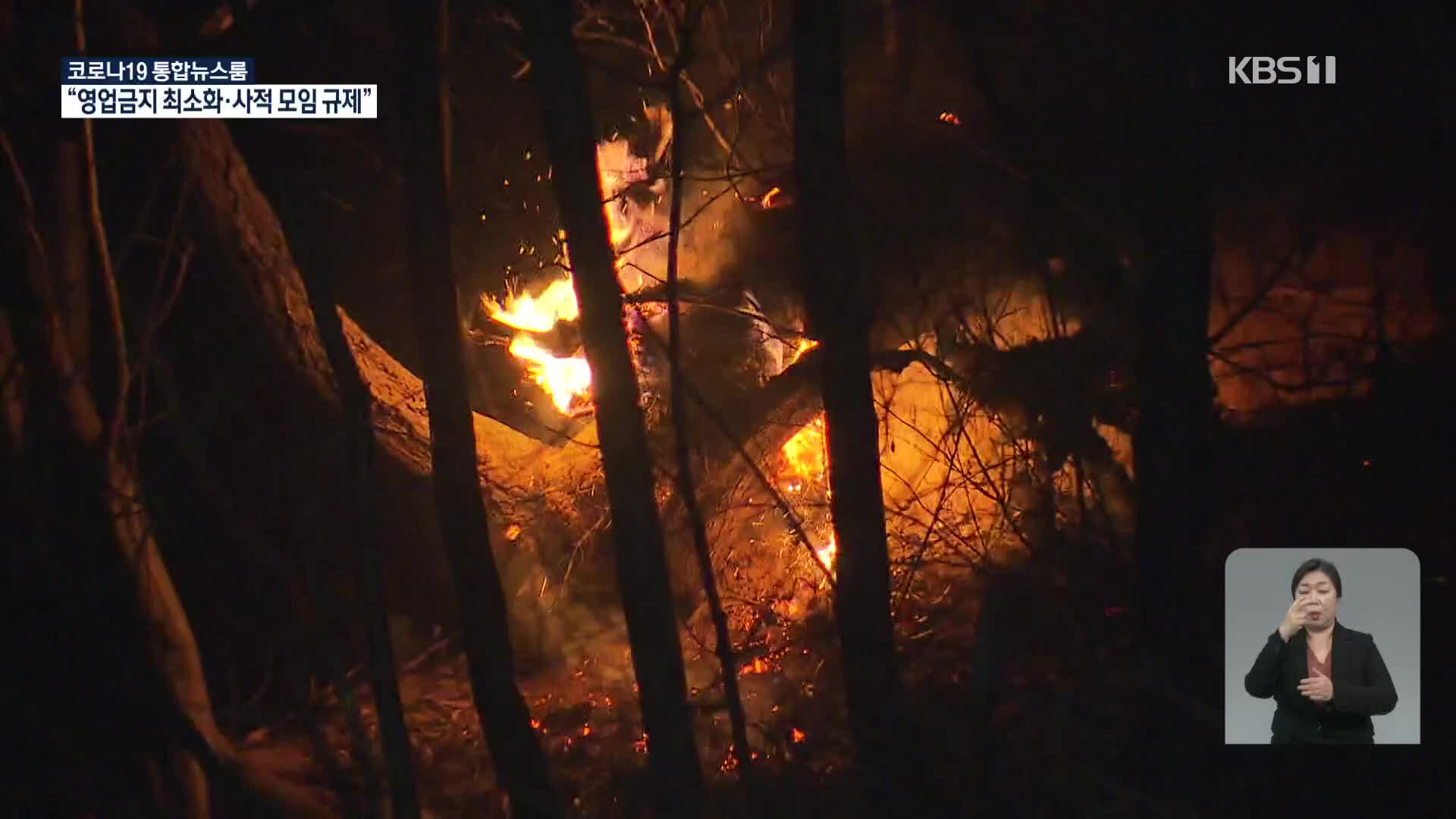 강원도 양양군 산불 6시간 만에 진화…건조·강풍특보 주의