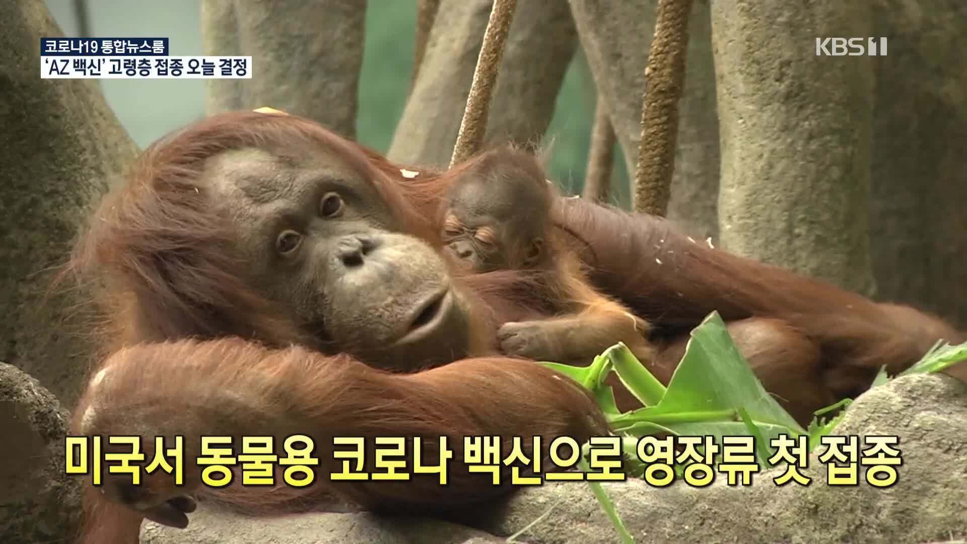 [코로나19 국제뉴스] 미국서 동물용 코로나 백신으로 영장류 첫 접종