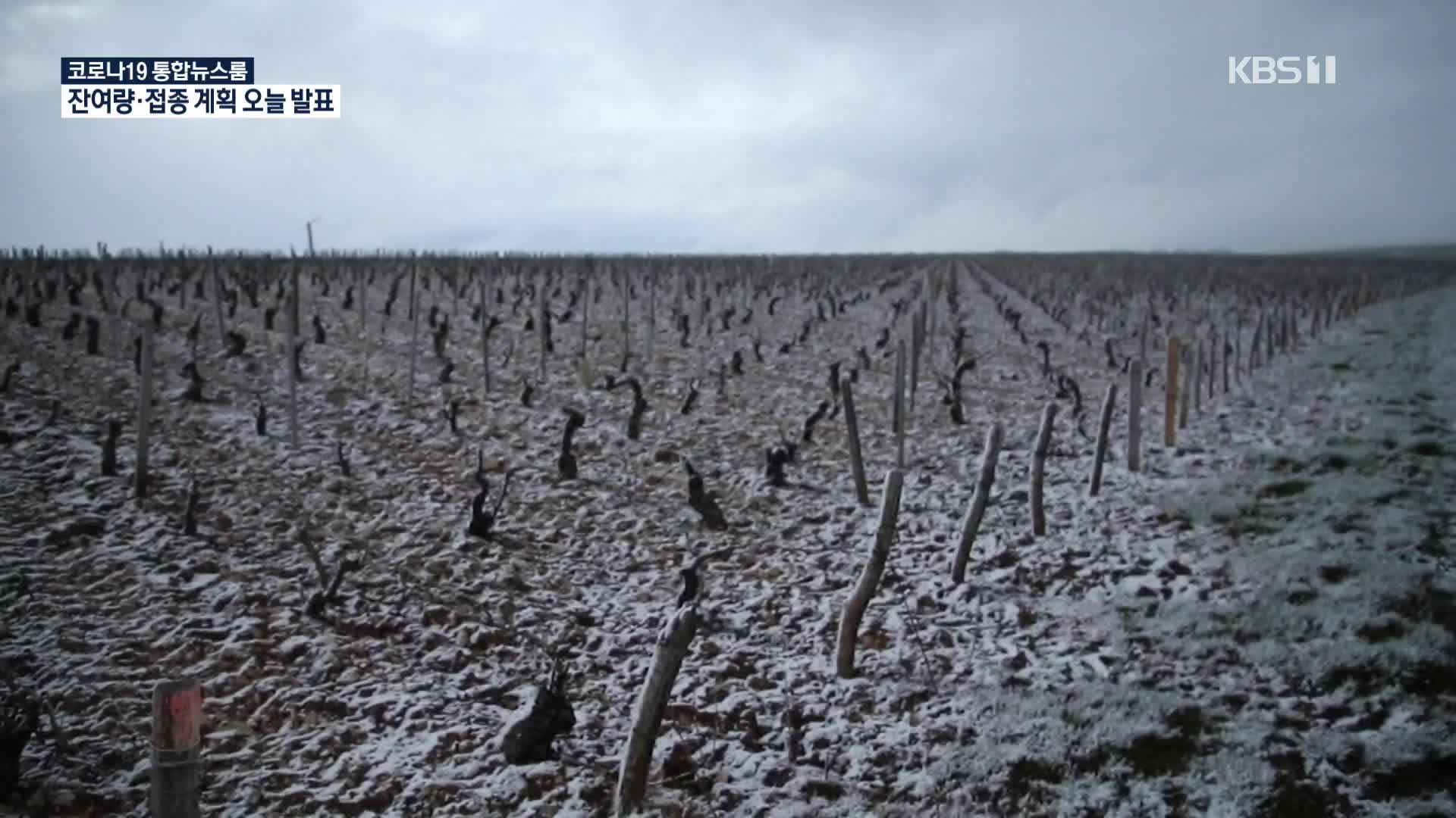 기후변화로 프랑스 와인 포도밭 초토화