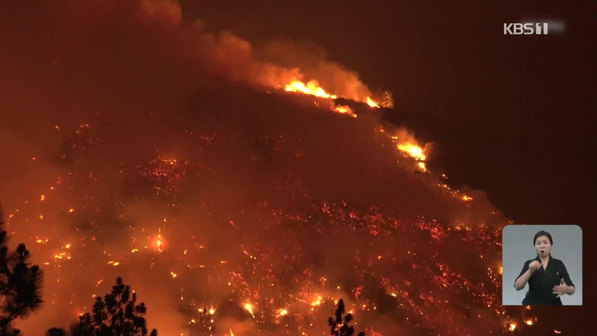 美 서부 기록적 폭염·산불…바이든 “기후변화에 상황 악화”