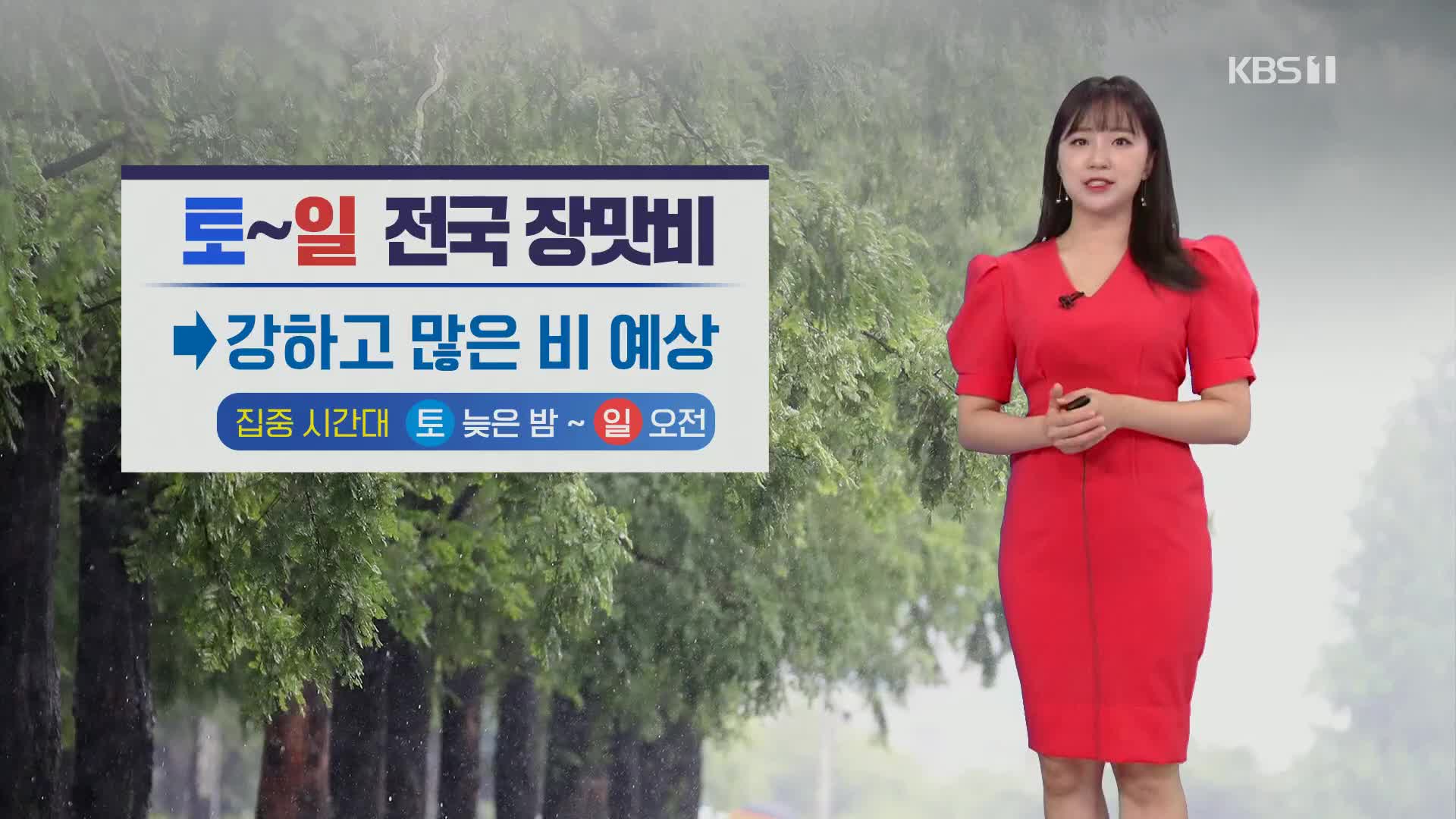 [출근길 날씨] 수도권·전남 폭염주의보, 곳곳 소나기…내일부터 장맛비