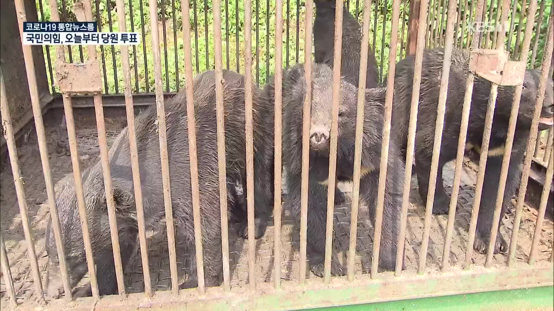 열악한 관리 ‘사육곰’…구조·보호시설 ‘시급’