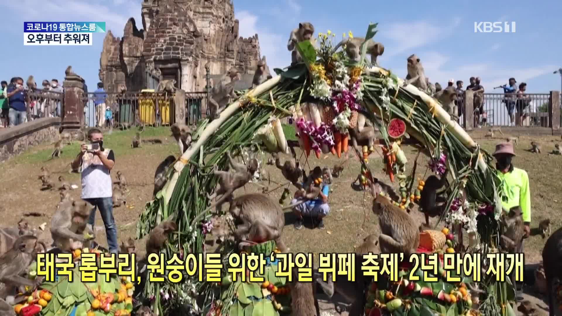 [톡톡 지구촌] 태국 롭부리, 원숭이들 위한 ‘과일 뷔페 축제’ 2년 만에 재개