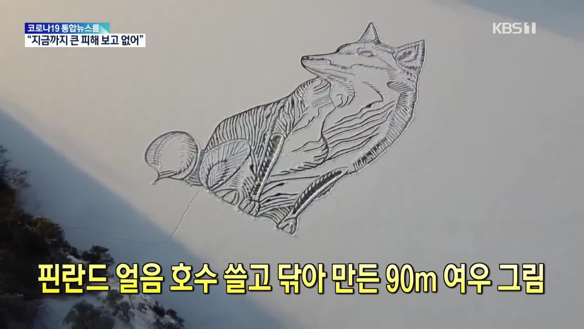 [톡톡 지구촌] 핀란드 얼음 호수 쓸고 닦아 만든 90m 여우 그림