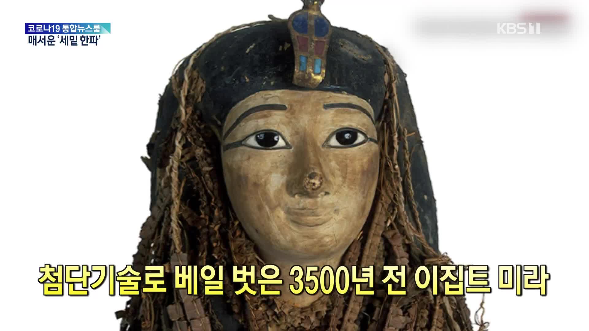 [톡톡 지구촌] 첨단기술로 베일 벗은 3500년 전 이집트 미라