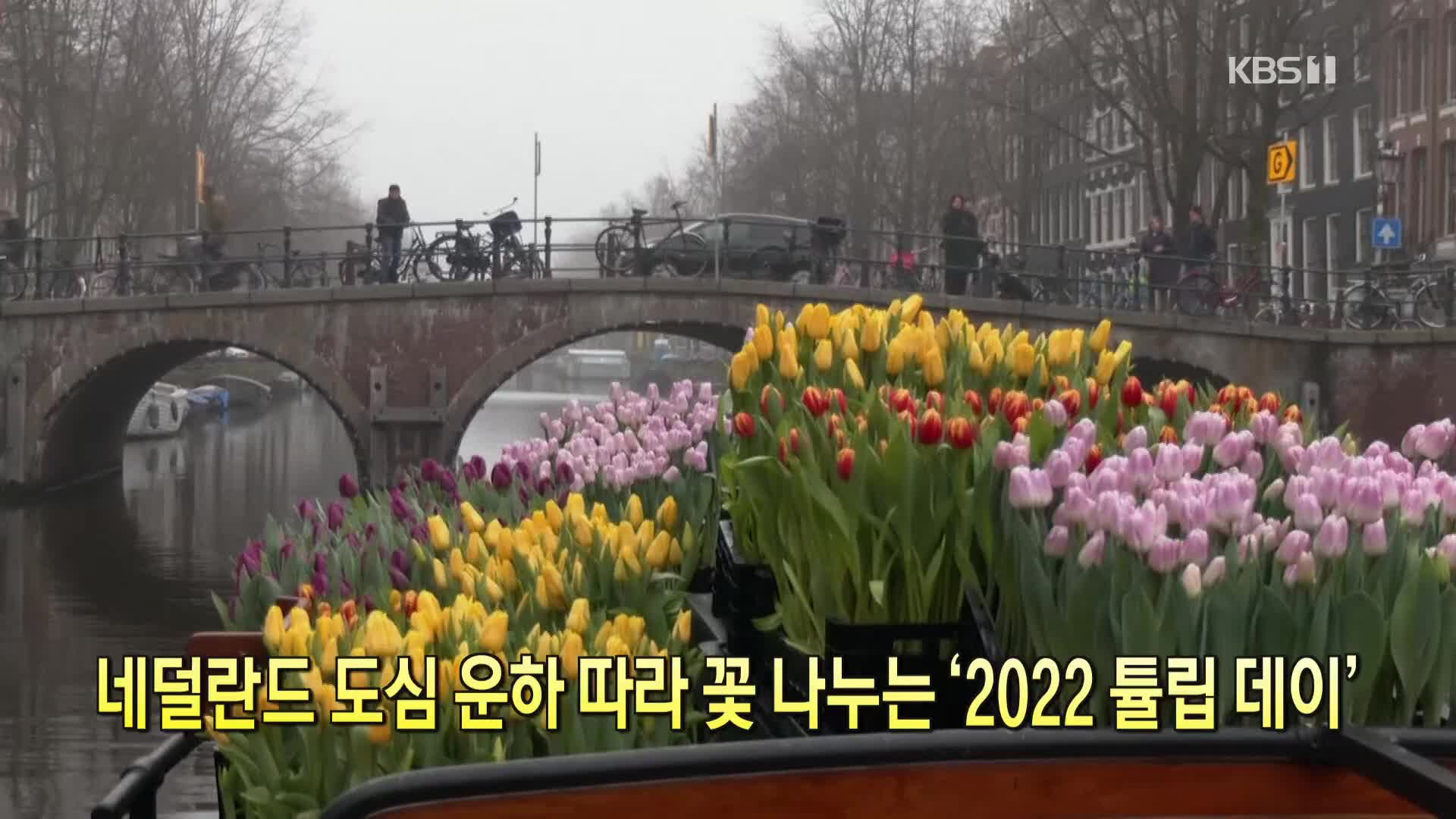 [톡톡 지구촌] 네덜란드 도심 운하 따라 꽃 나누는 ‘2022 튤립 데이’
