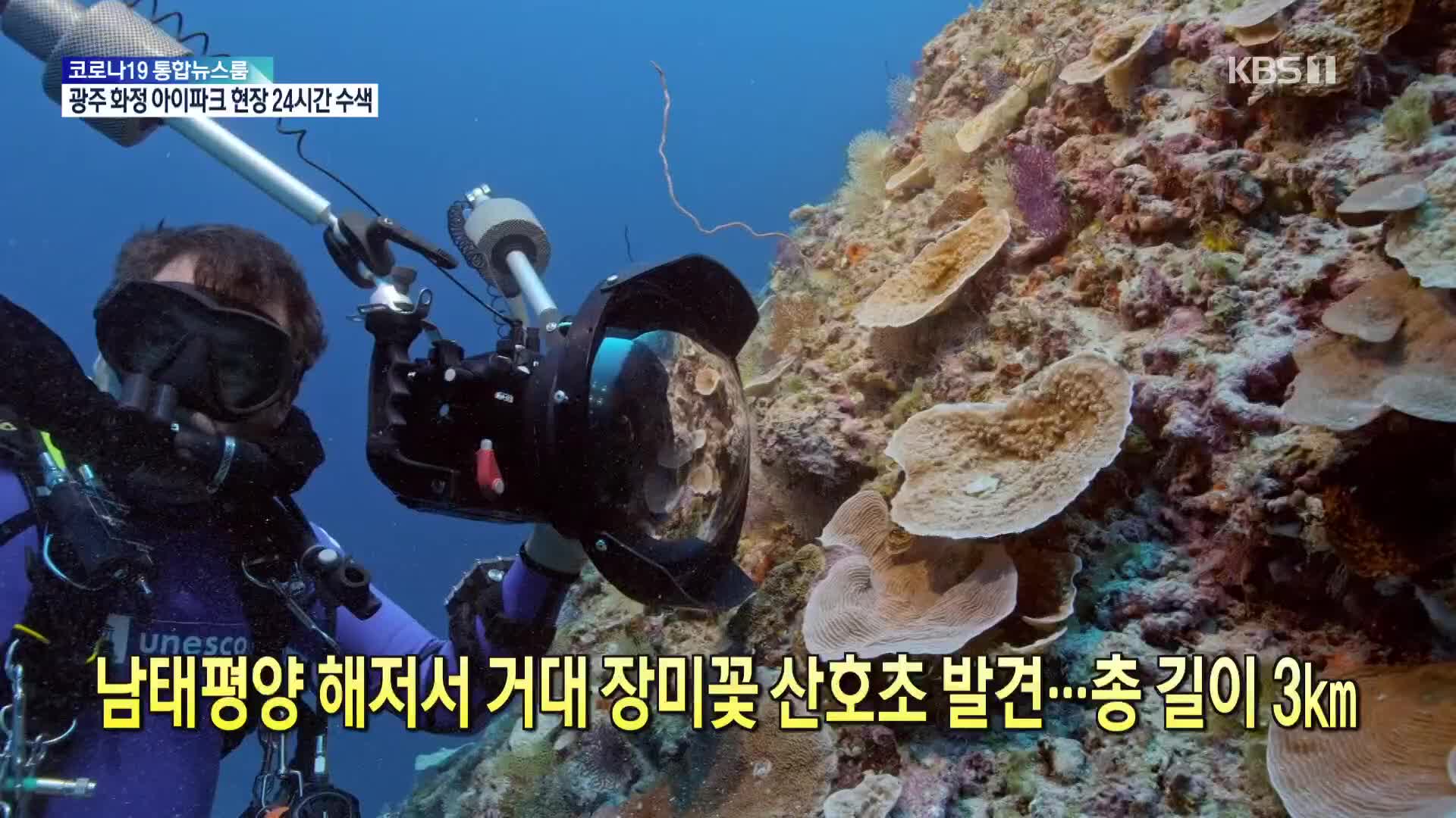 [톡톡 지구촌] 남태평양 해저서 거대 장미꽃 산호초 발견…총 길이 3㎞