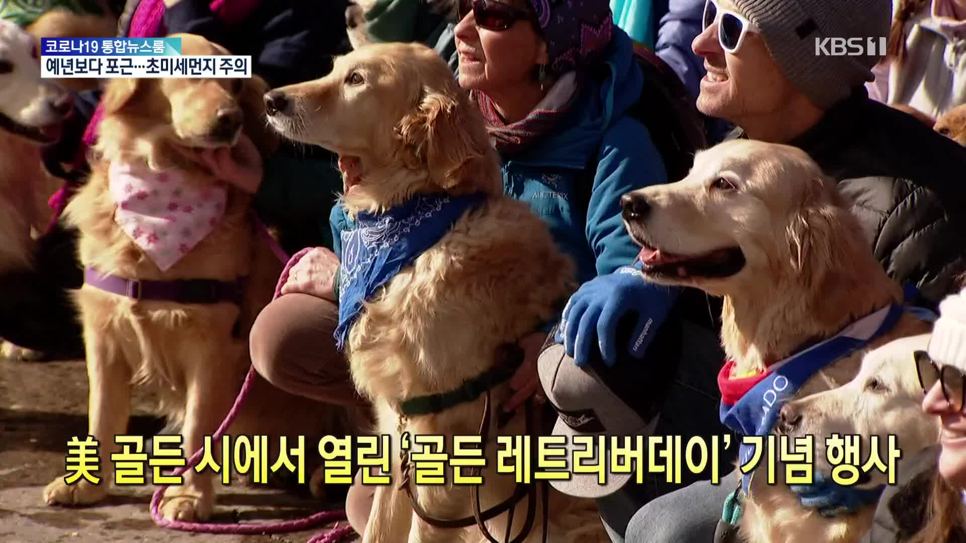 [톡톡 지구촌] 美 골든 시에서 열린 ‘골든 레트리버데이’ 기념 행사