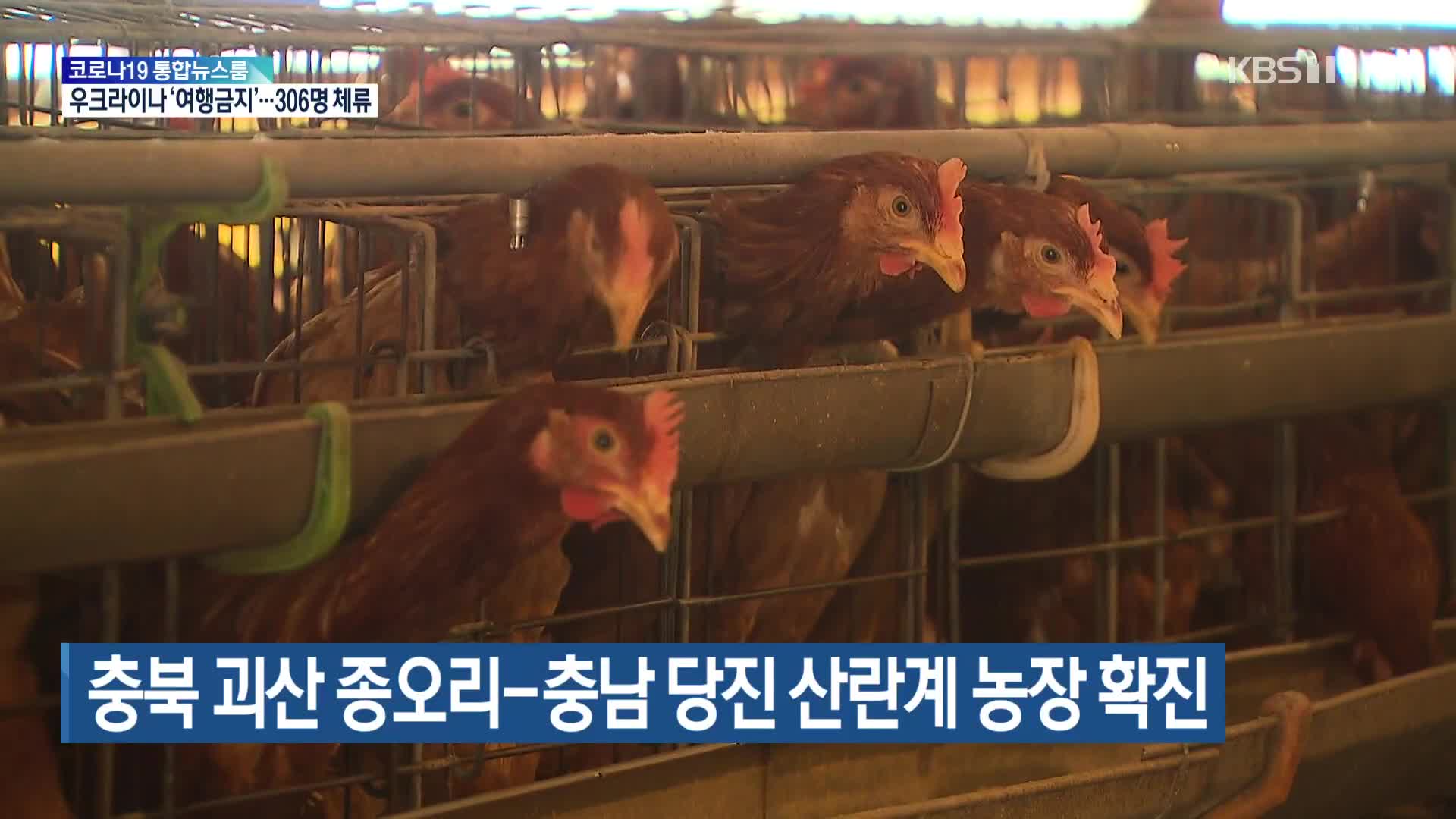 충북 괴산 종오리-충남 당진산란계 농장 확진