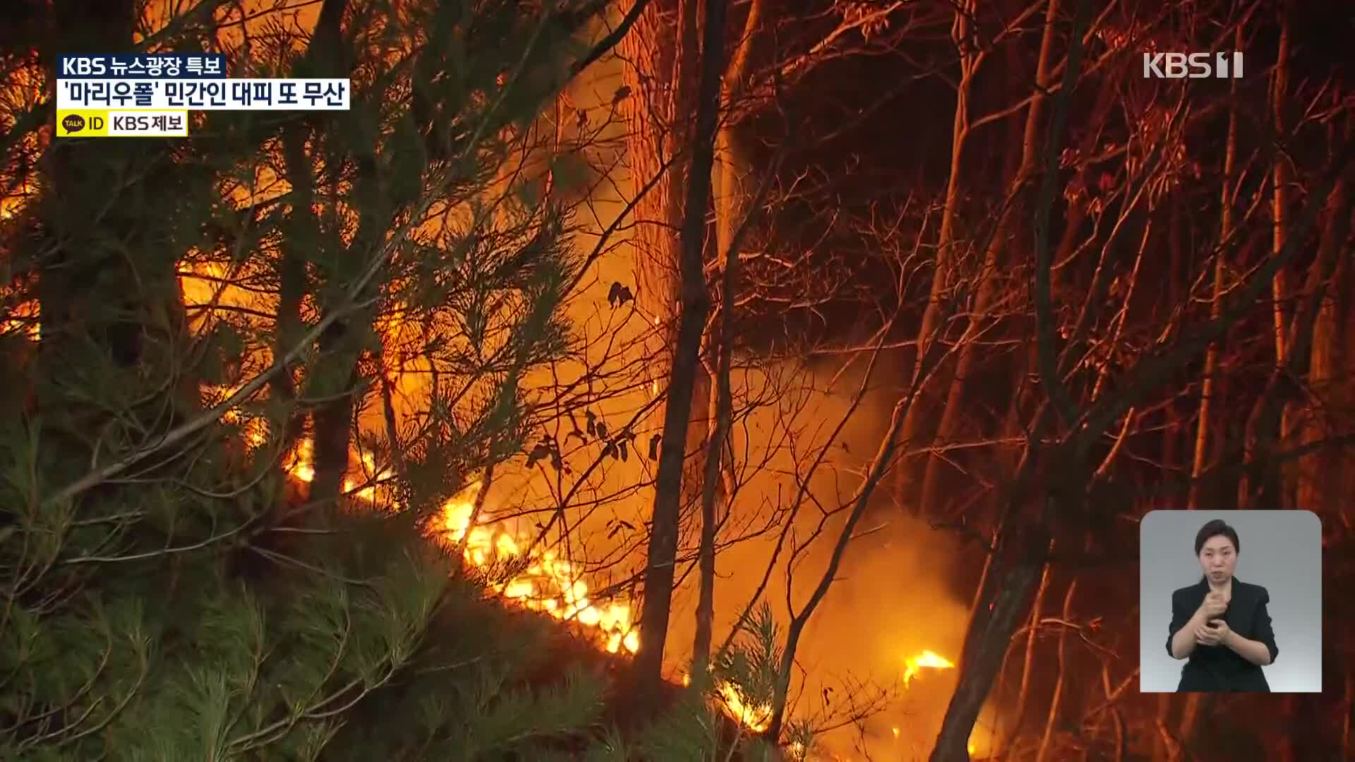 [특보] “금강송 군락지 500미터 앞까지 불길 접근”…최대 긴장감