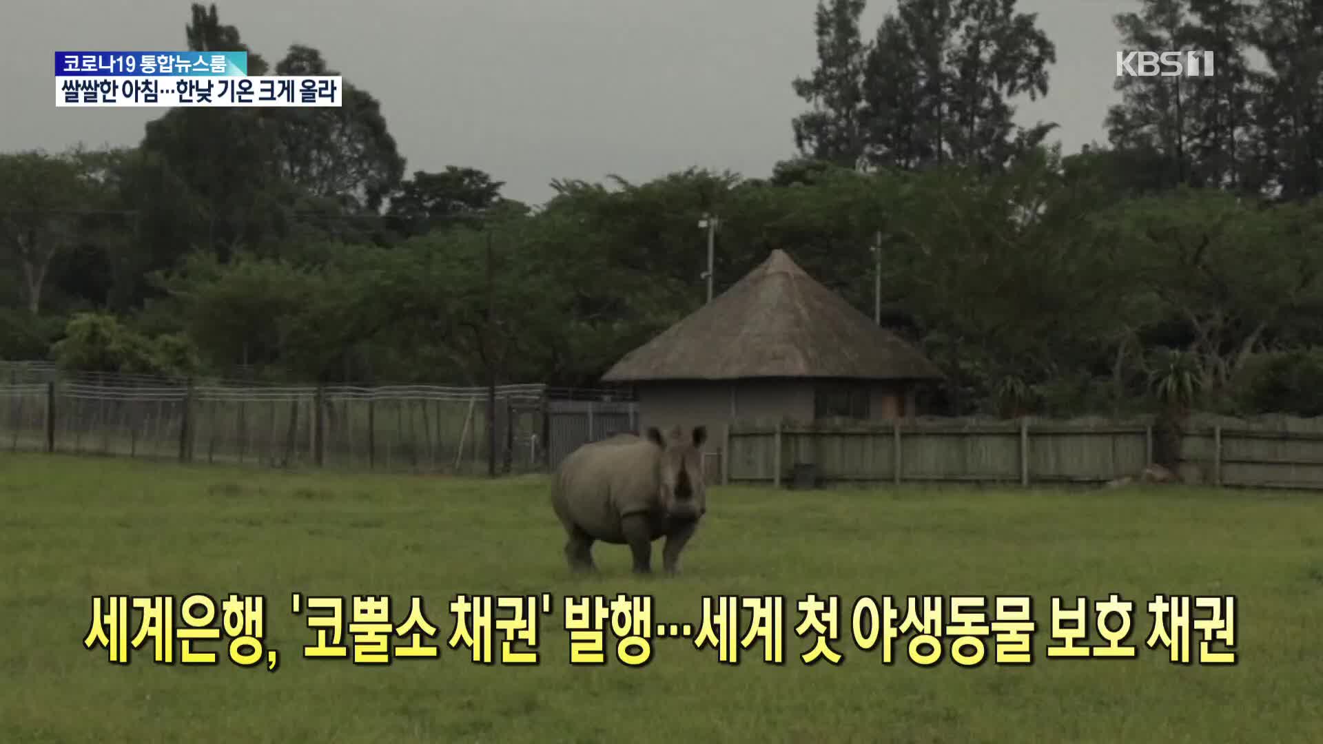 [톡톡 지구촌] 세계은행, ‘코뿔소 채권’ 발행…세계 첫 야생동물 보호 채권