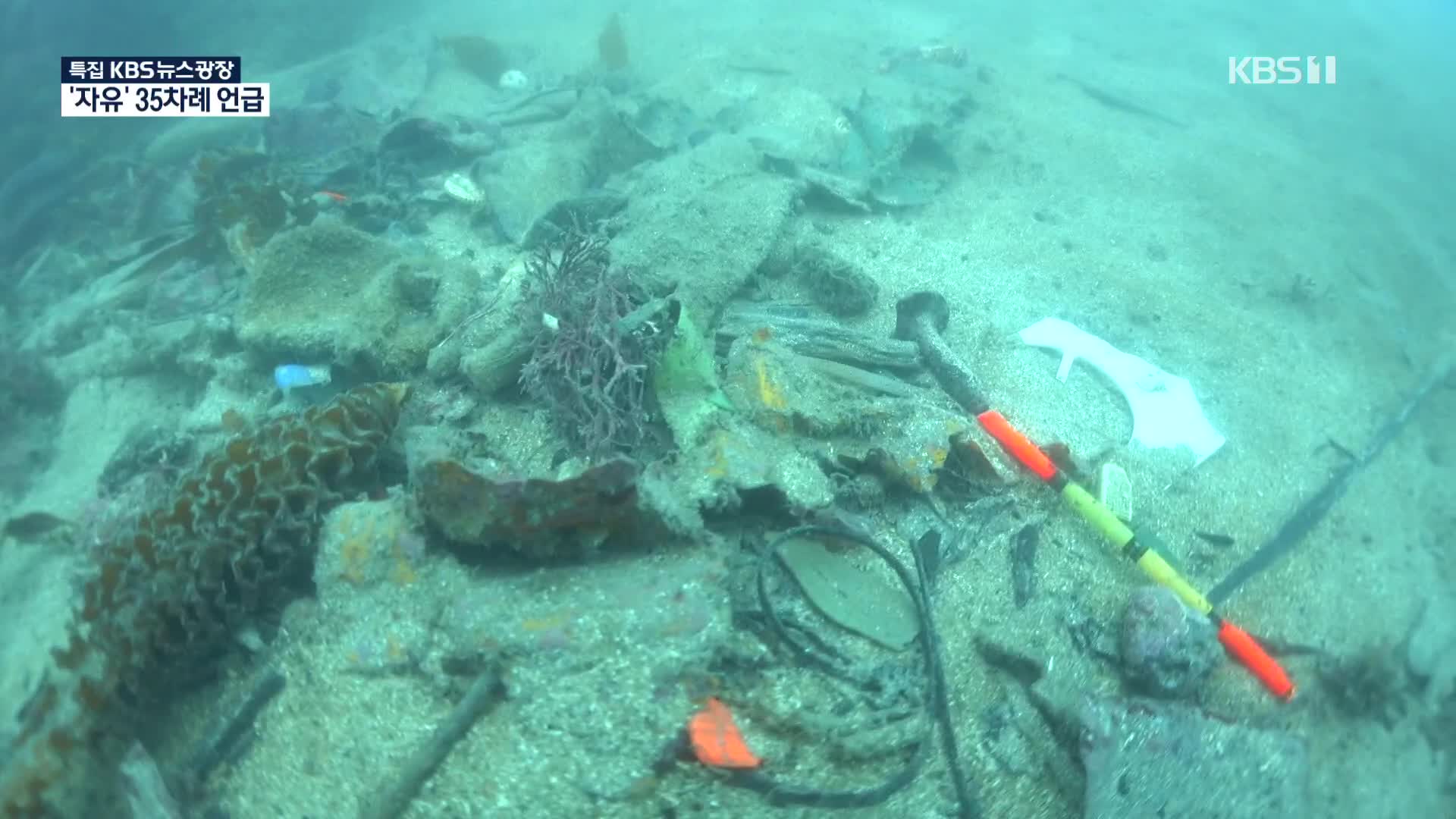 연간 2만 톤…해양쓰레기 뒤덮인 제주바다 민간이 나선다