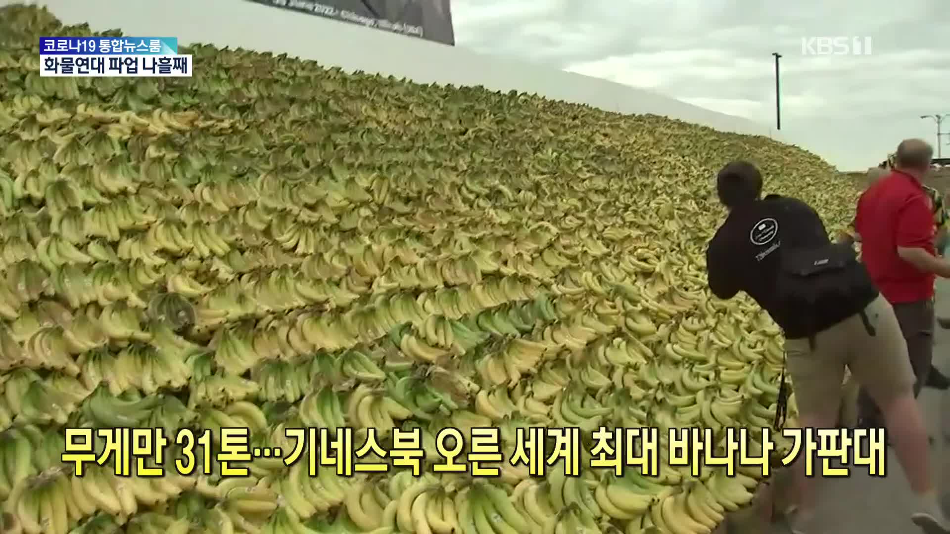 [톡톡 지구촌] 무게만 31톤…기네스북 오른 세계 최대 바나나 가판대