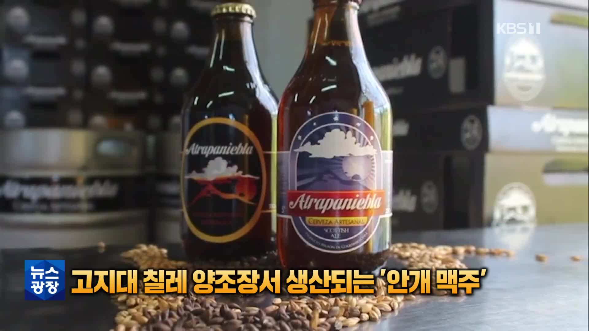 [톡톡 지구촌] 고지대 칠레 양조장서 생산되는 ‘안개 맥주’