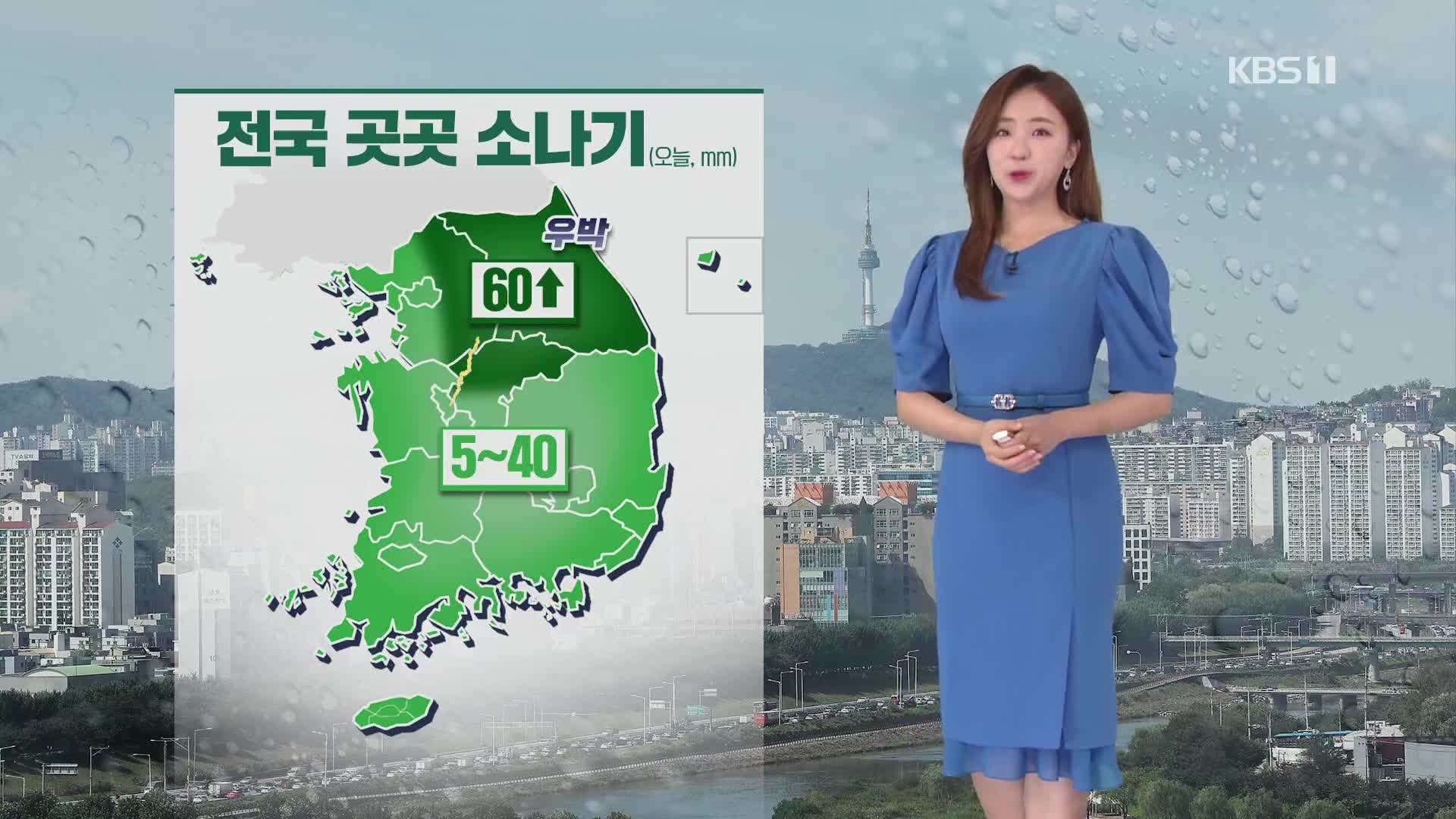 [주말 날씨] 초복, 남부지방 무더위…내륙 곳곳 소나기