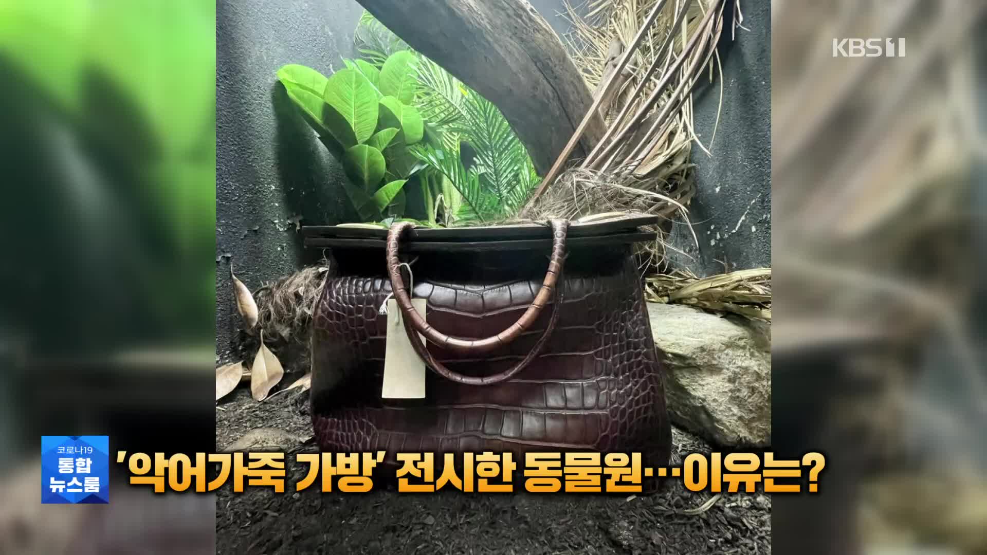 [톡톡 지구촌] ‘악어가죽 가방’ 전시한 동물원…이유는?
