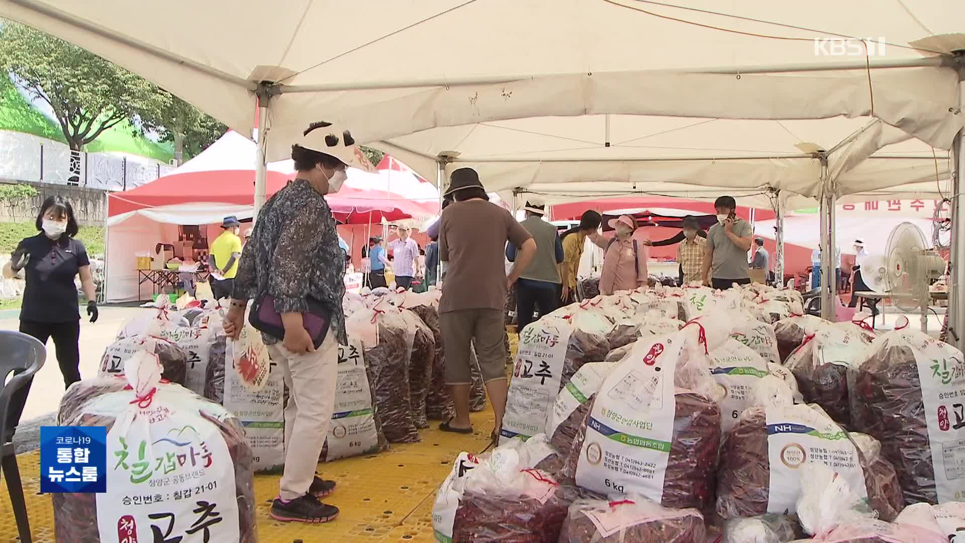 폭우 재난지역 청양서 축제…“고추·구기자 농민 도와요”